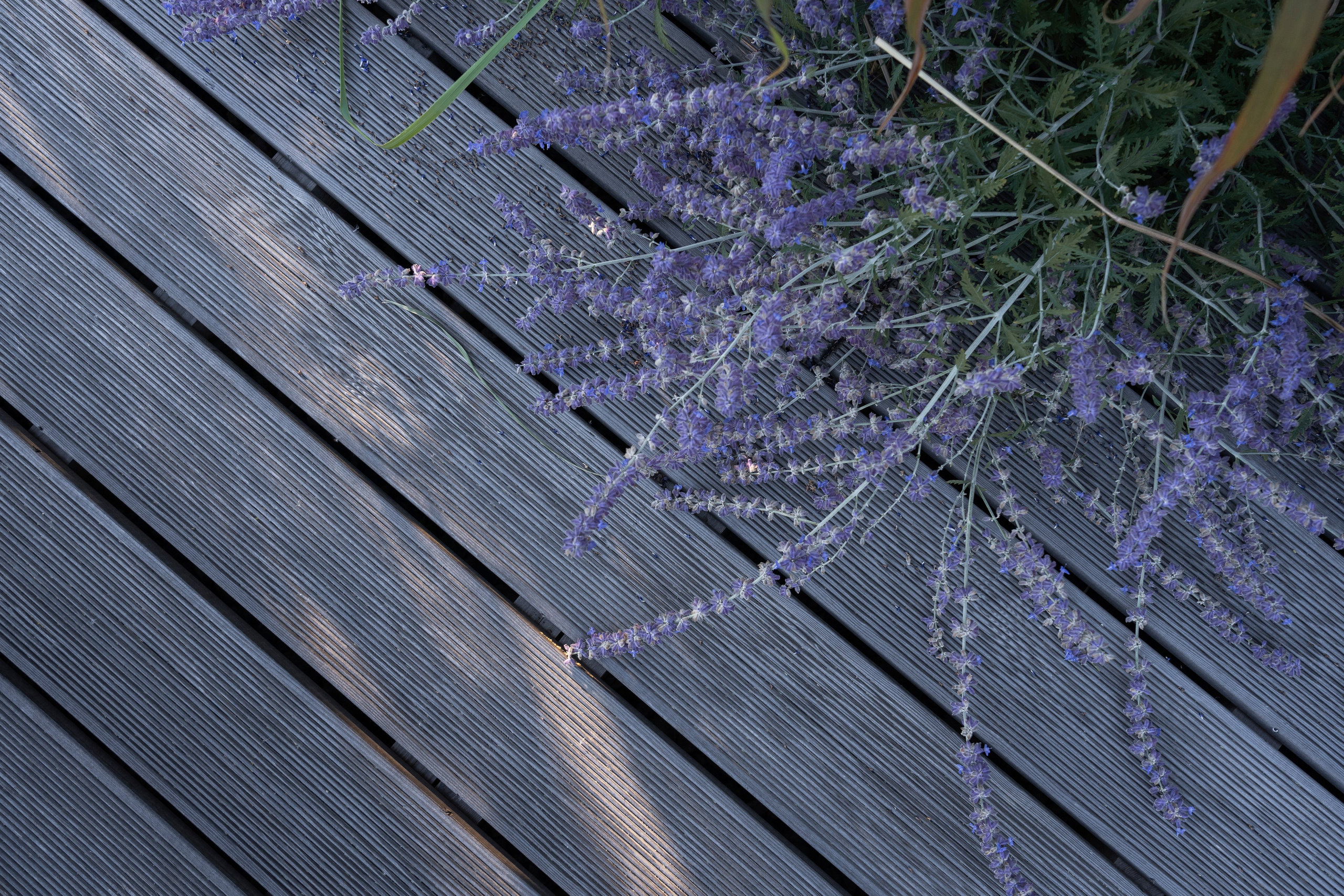 In the mystery of the setting sun. Артамонов Александр | Архитектурный и ландшафтный фотограф