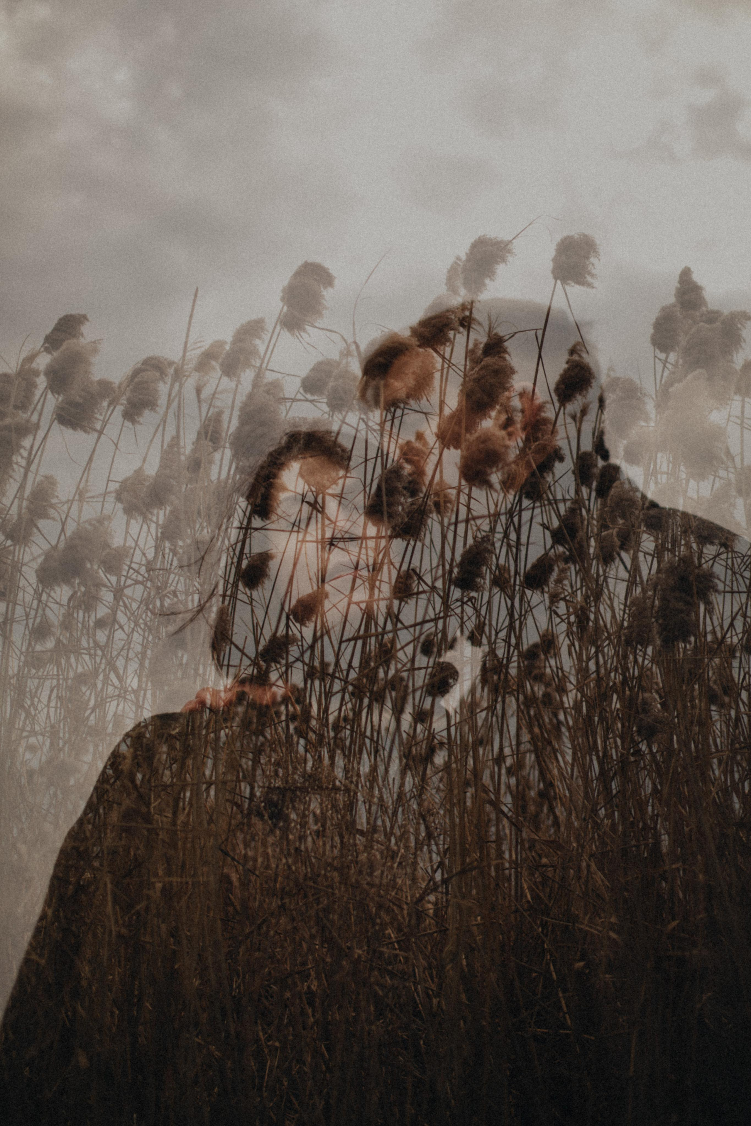 Maxim and Ksenia. Свадебный фотограф в Саратове Антон Слепов