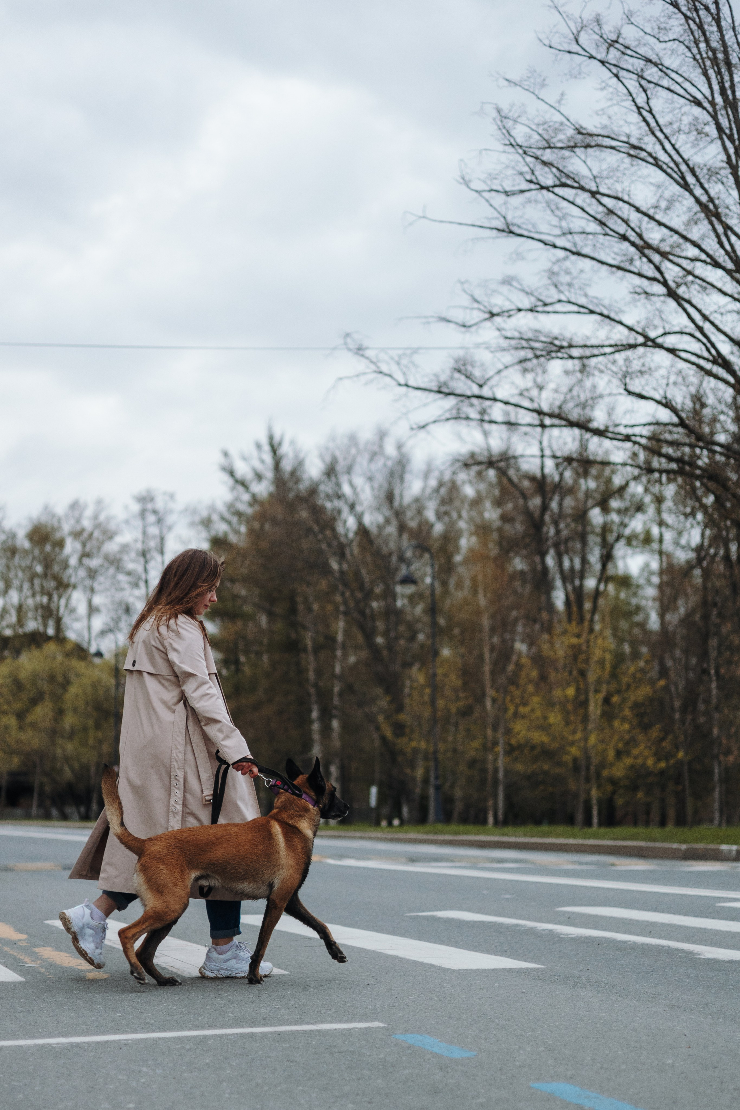 Виктория и Ванхельсинг. Фотограф животных Евгения Верцинская