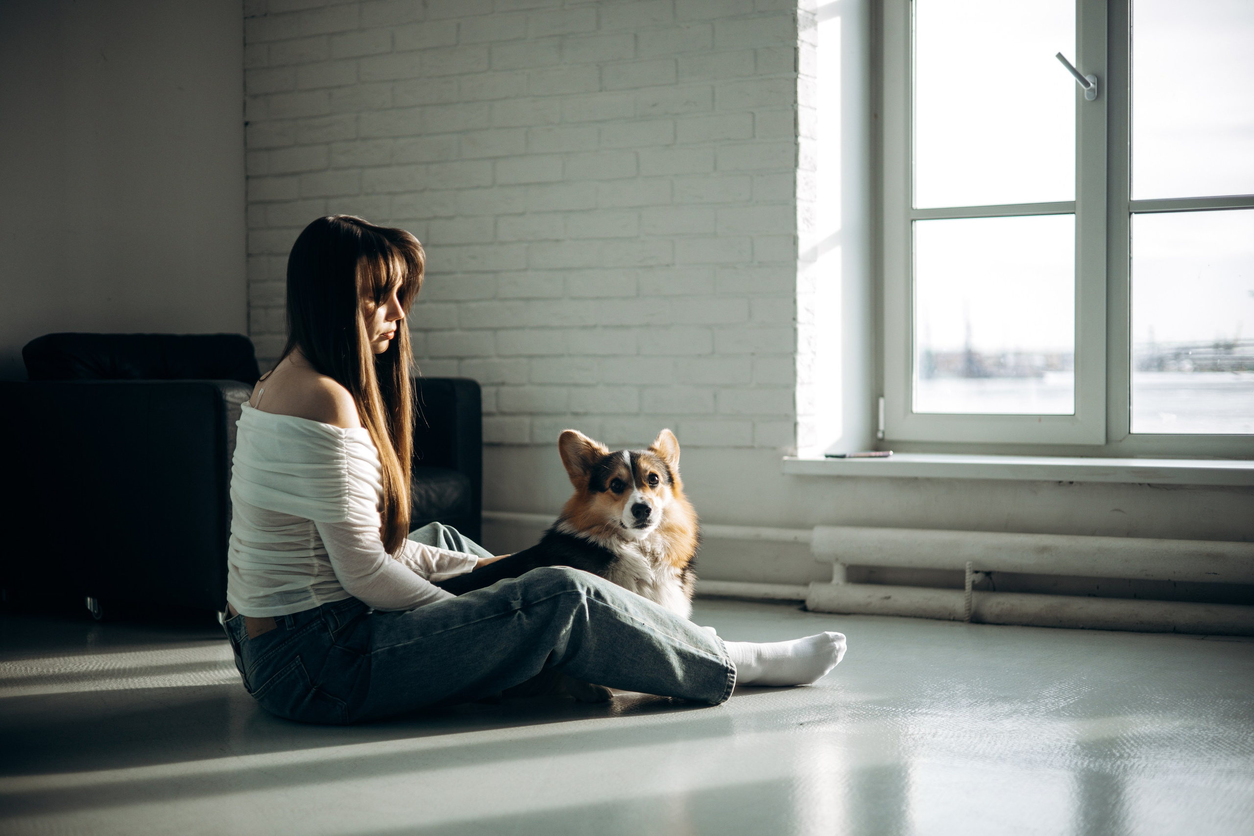 Анастасия и Коржик. Фотограф животных Евгения Верцинская