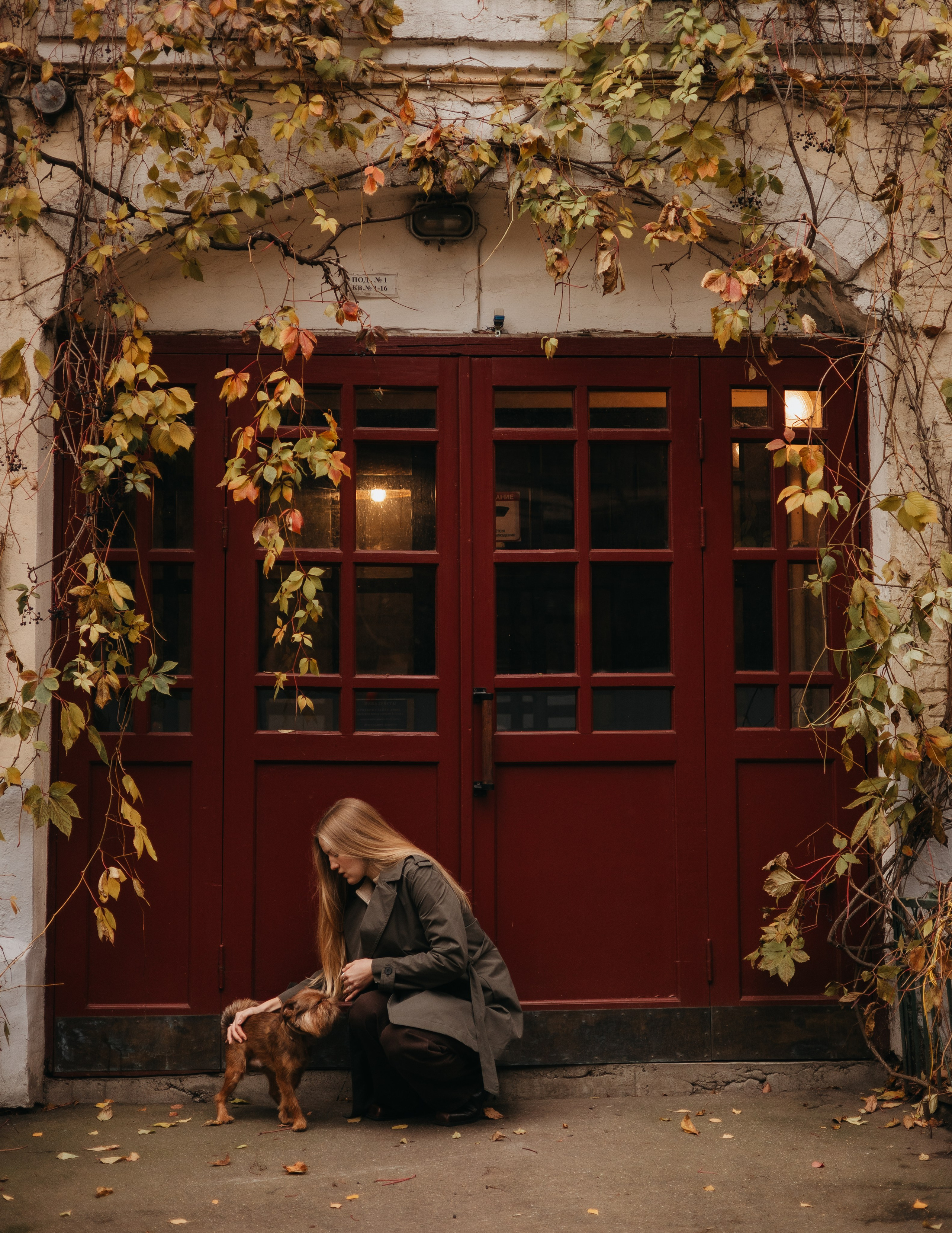 Полина и Джаред. Фотограф животных Евгения Верцинская