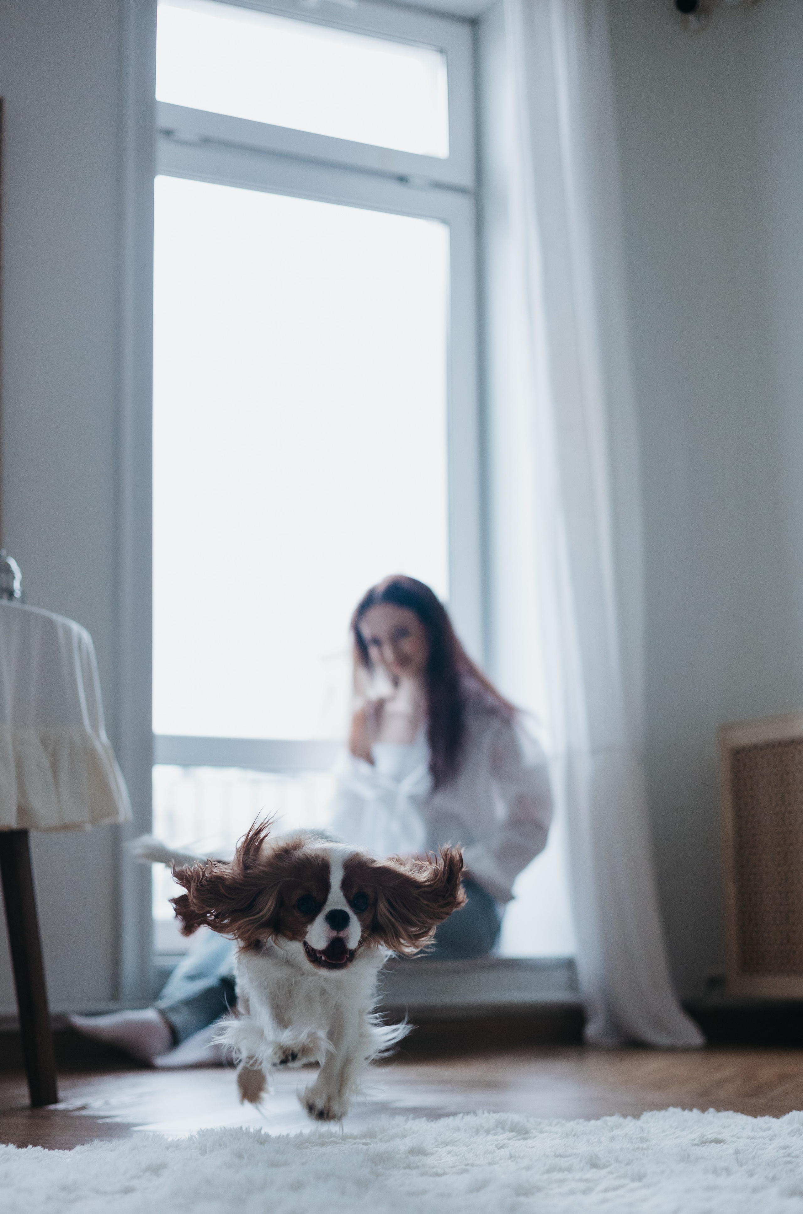 Саша и Эллисон. Фотограф животных Евгения Верцинская