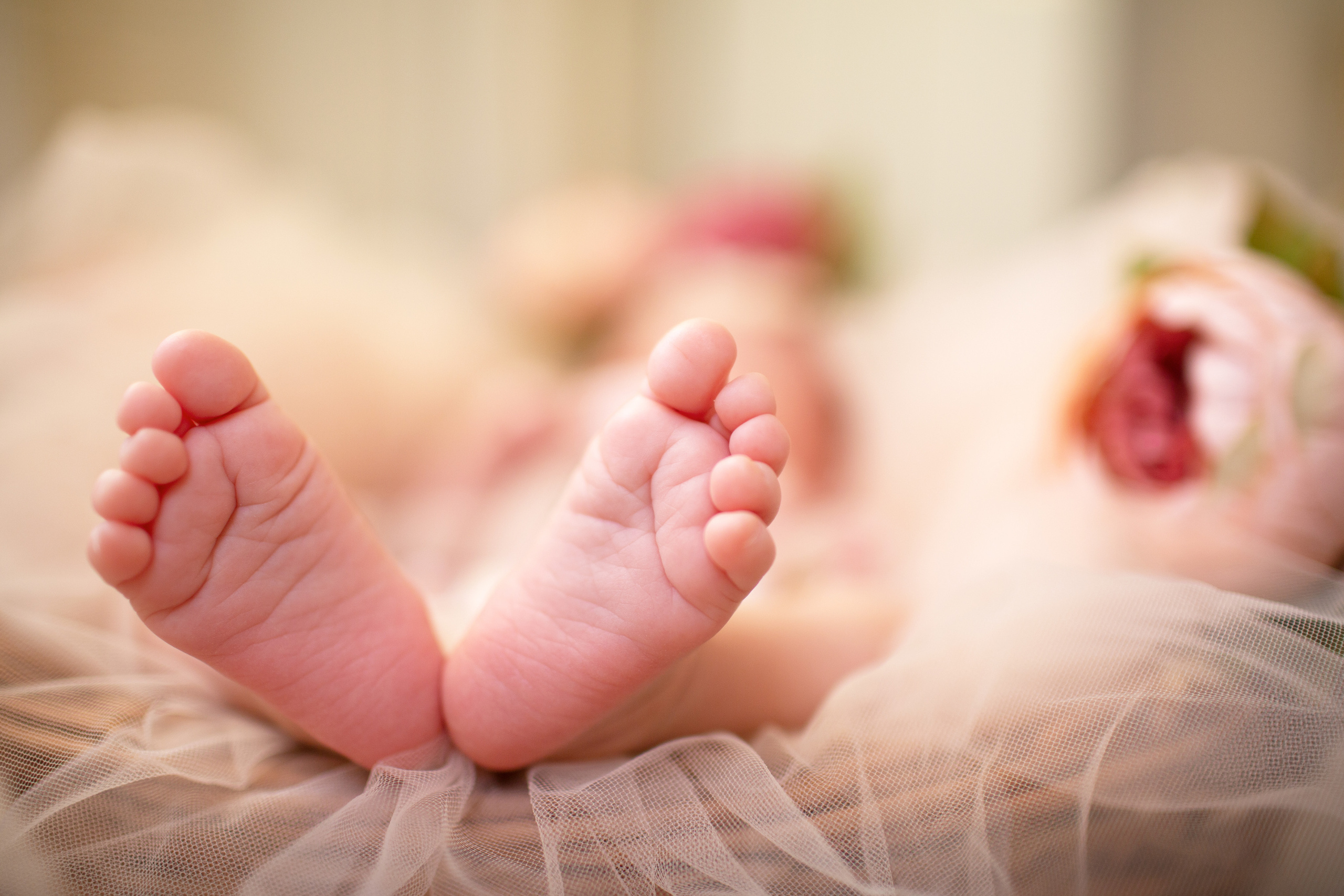 Василиса. Свадебный фотограф МОсква Раменское