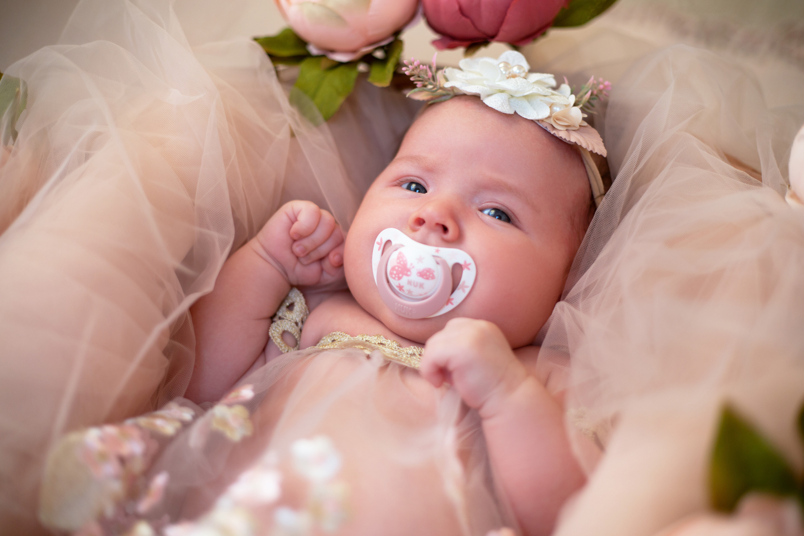 Василиса. Свадебный фотограф МОсква Раменское