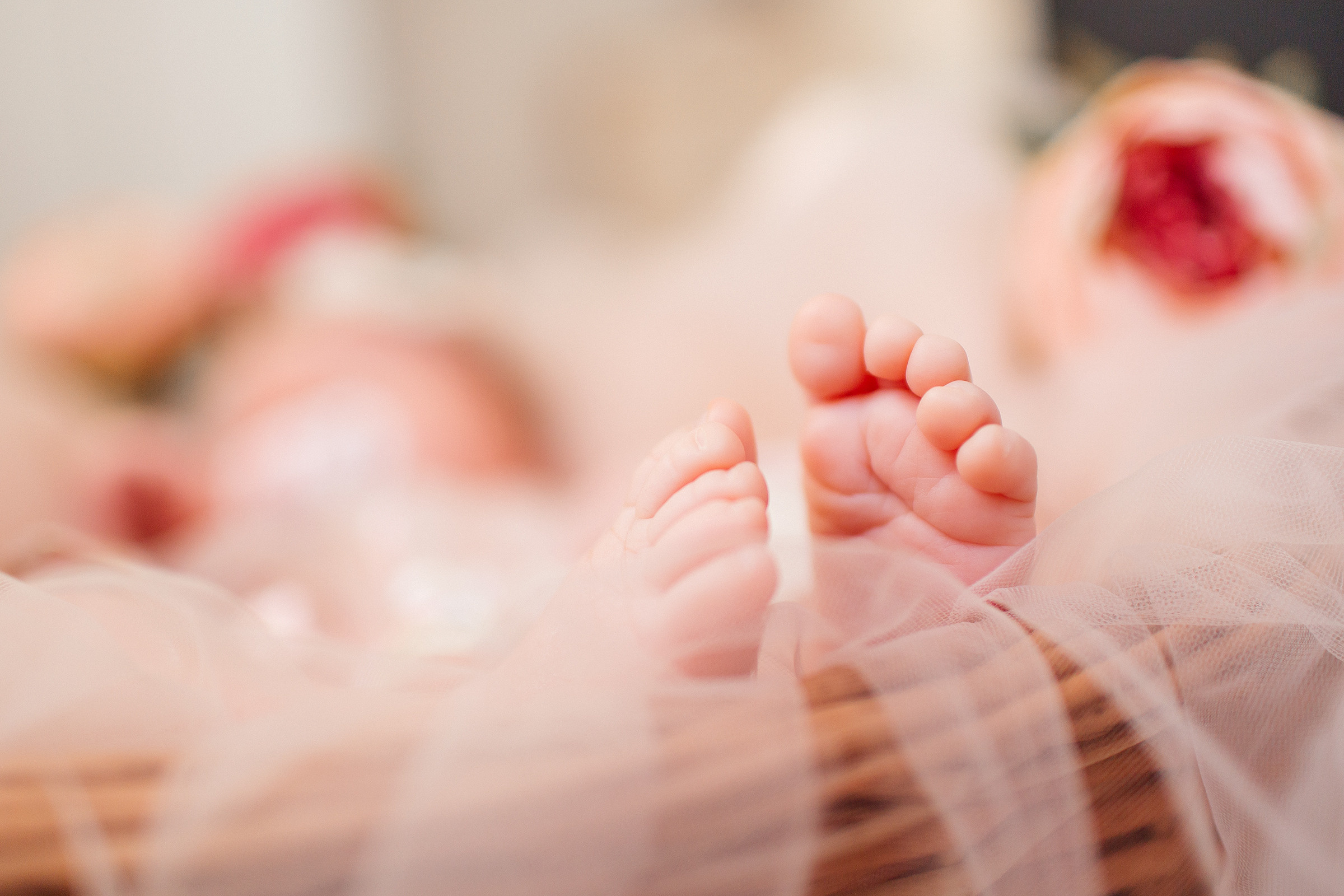 Василиса. Свадебный фотограф МОсква Раменское