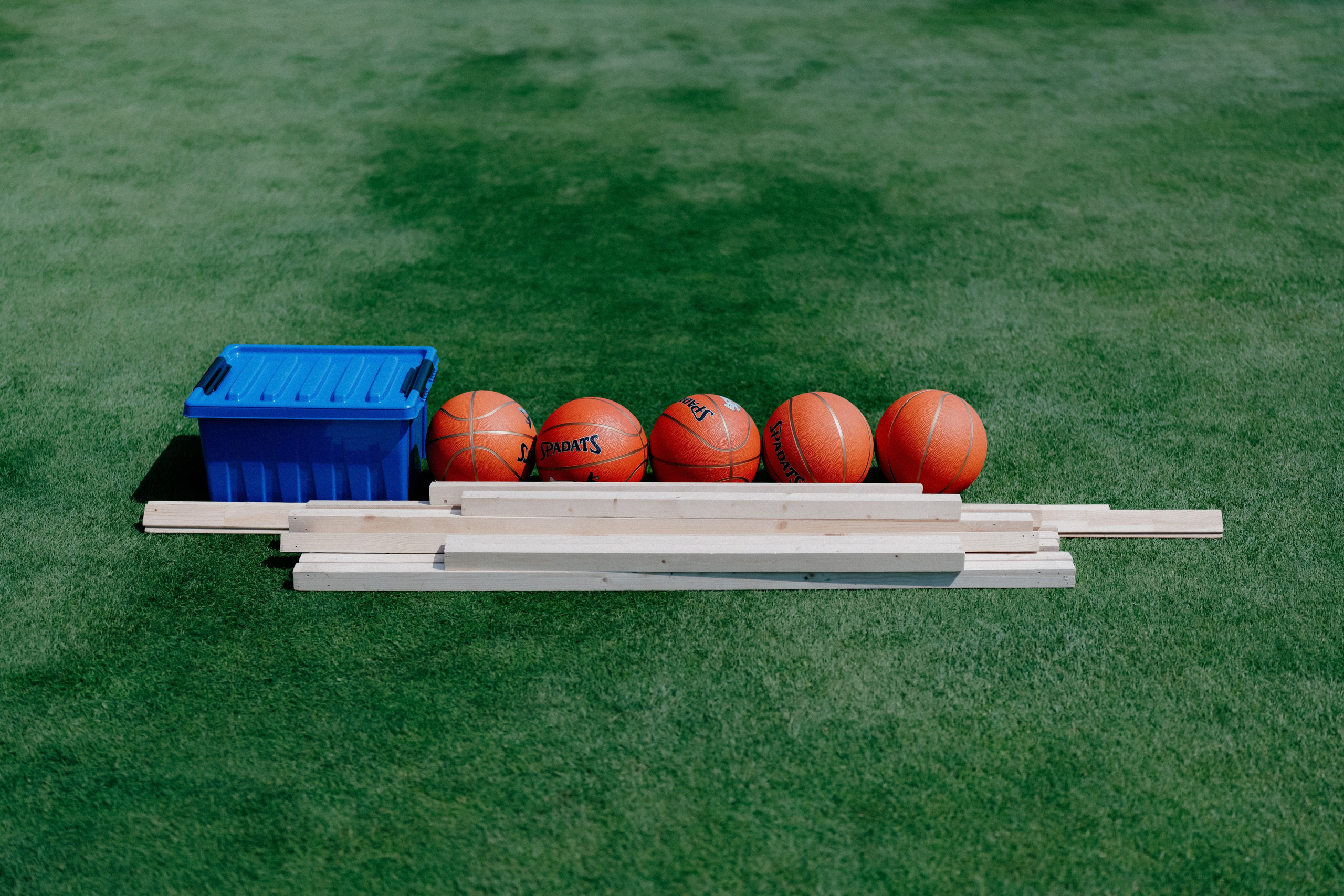 Целеево. Фотограф в Москве Дмитрий Рогов