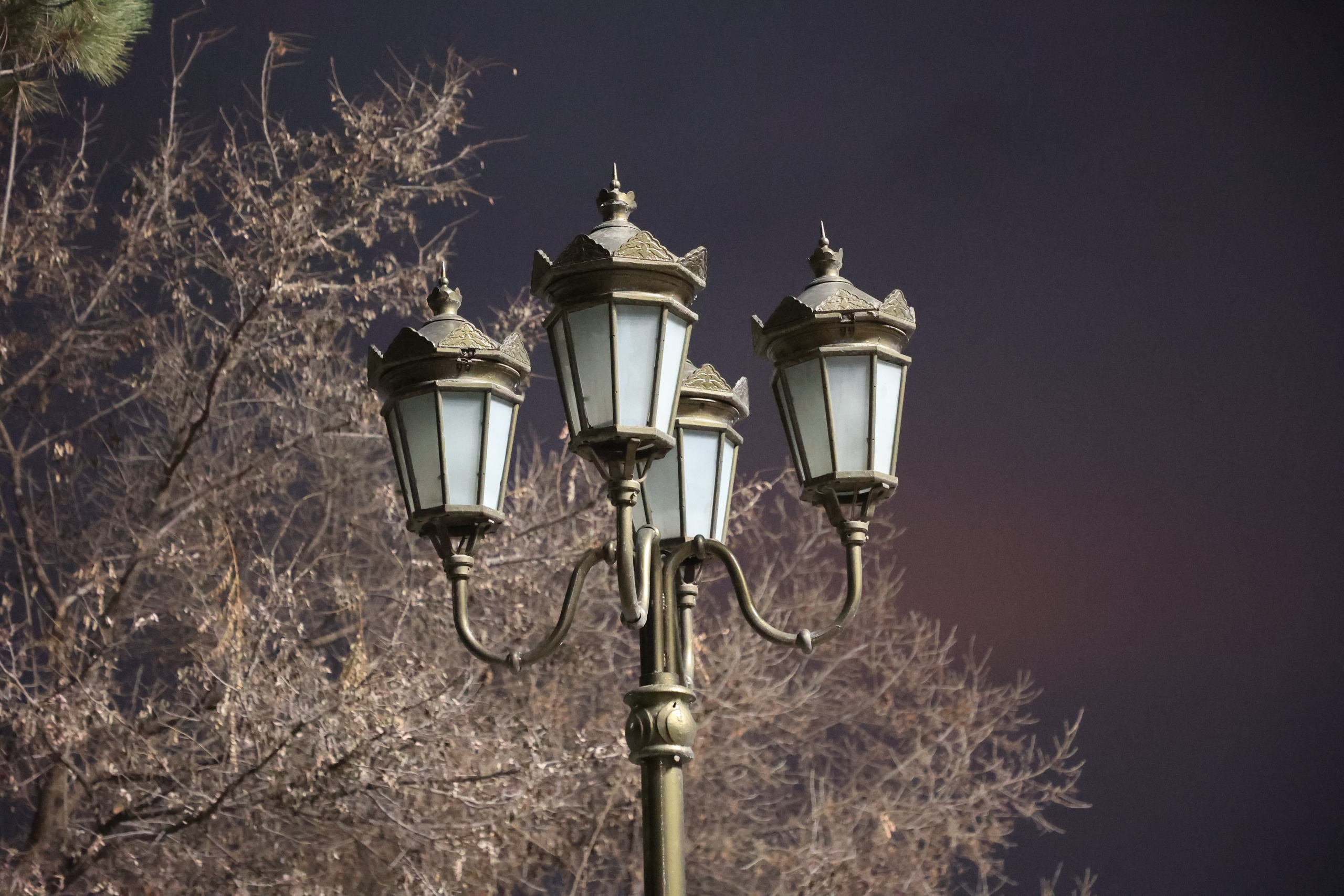 Tashkent, Uzbekistan. Andrey Filippov Photographer