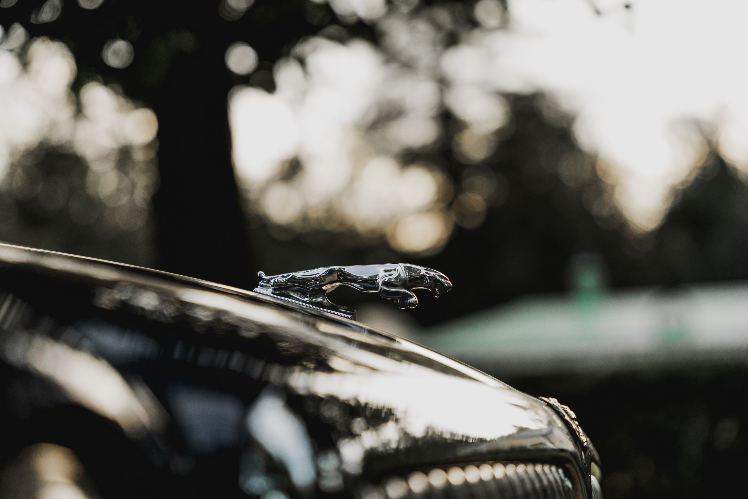 Автокультура. Архангельское. Станислав Тюрин Фотограф Москва. Индивидуальные и семейные фотосессии;