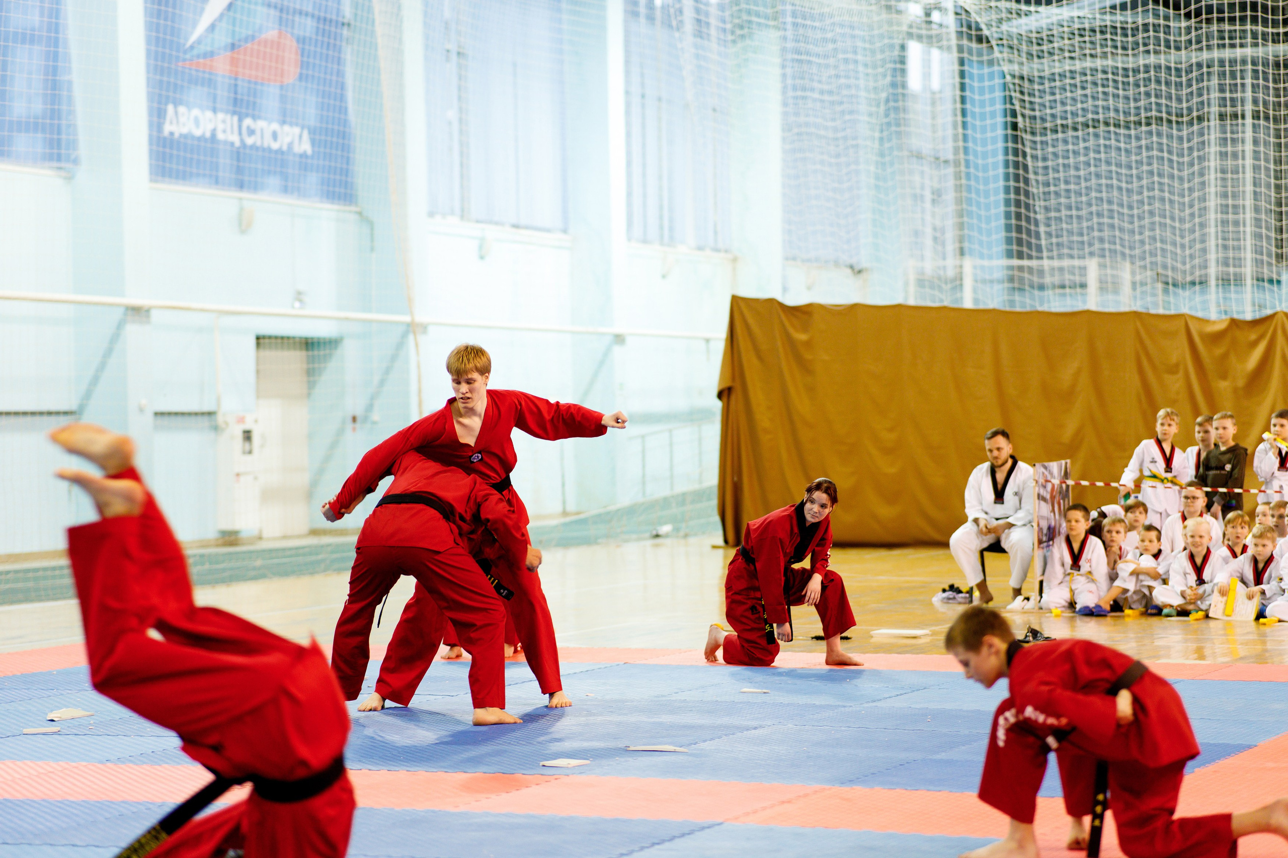 Тхэквондо СК «Каскад». Фотограф Дмитрий Молчанов | Фотограф Пермь | Фотограф