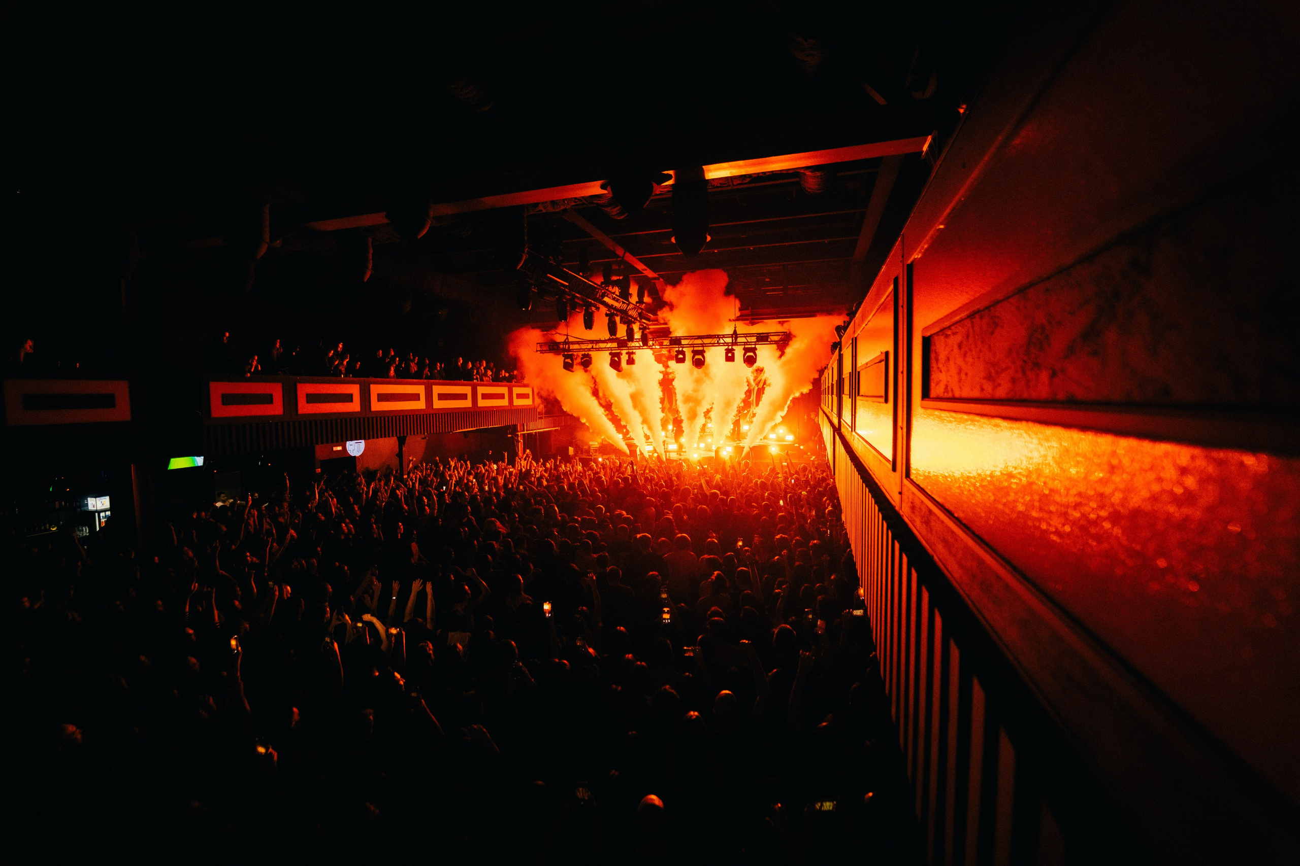 WILDWAYS. PASHAHARCE PHOTOGRAPHER & VIDEOGRAPHER