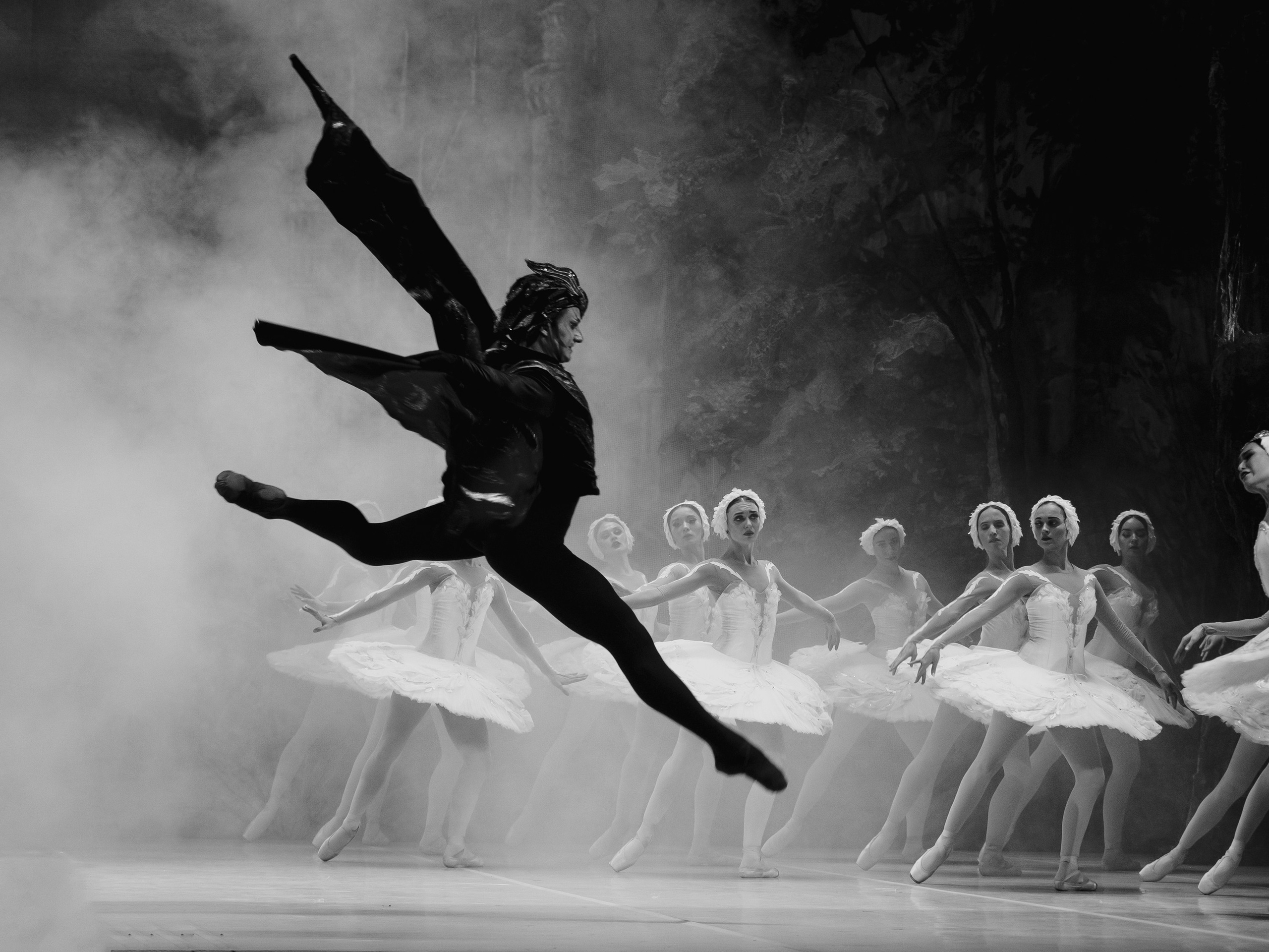 Балет «Лебединое озеро». Маруся Машкова • Фотограф в Москве