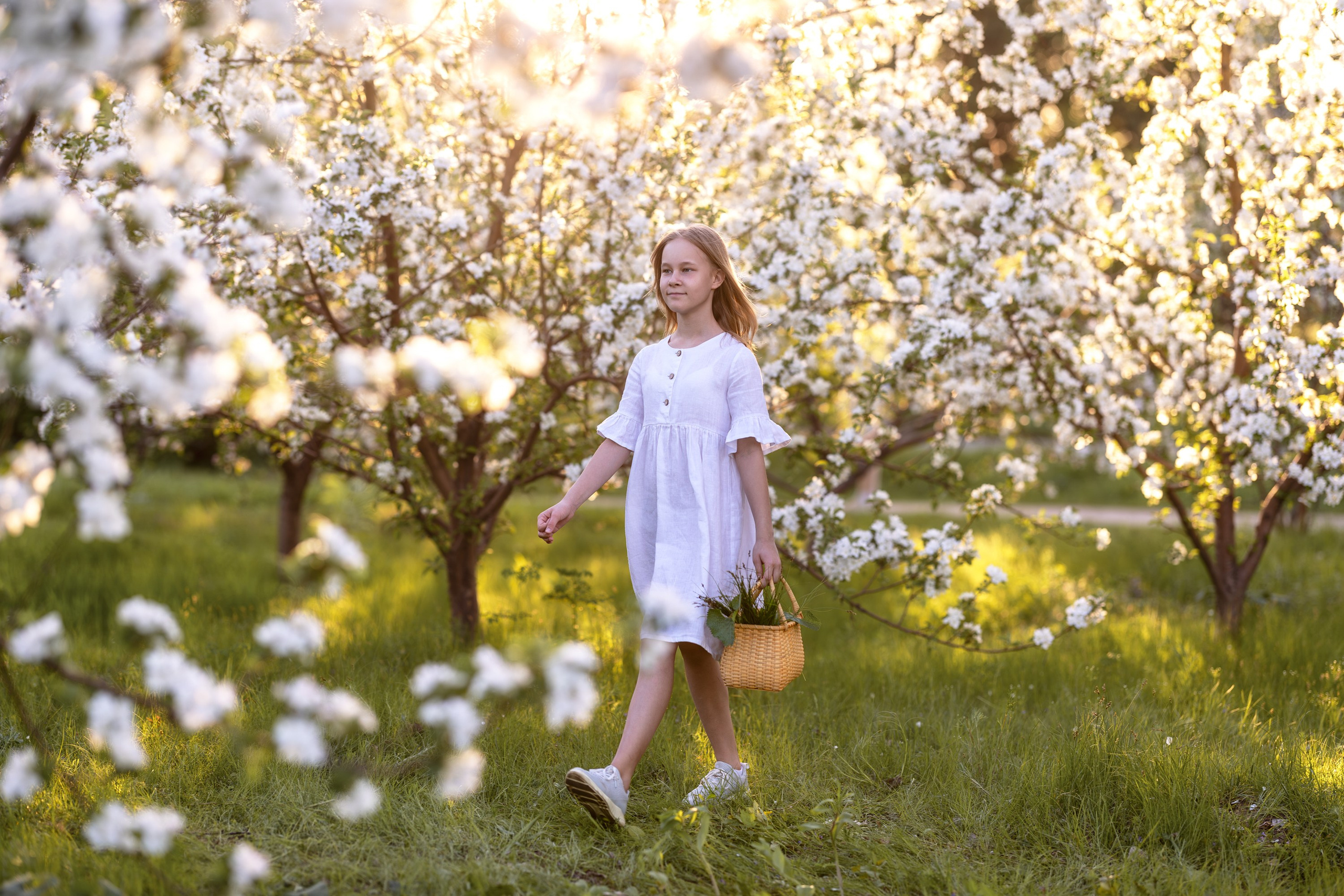 Яблоневый сад. Семейный и детский фотограф в Красноярске, Дивногорцева Светлана