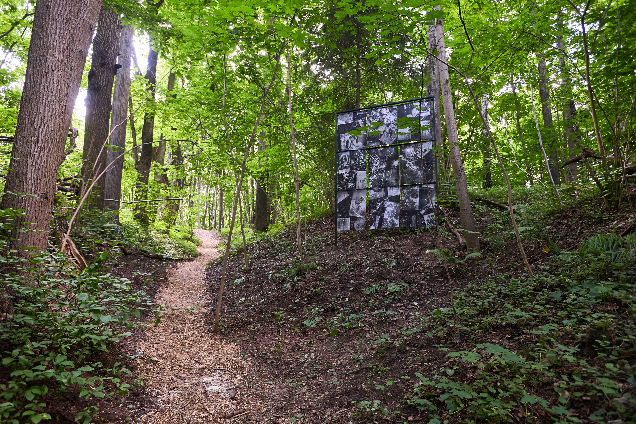 Les is More. Фотограф Иван Недорез