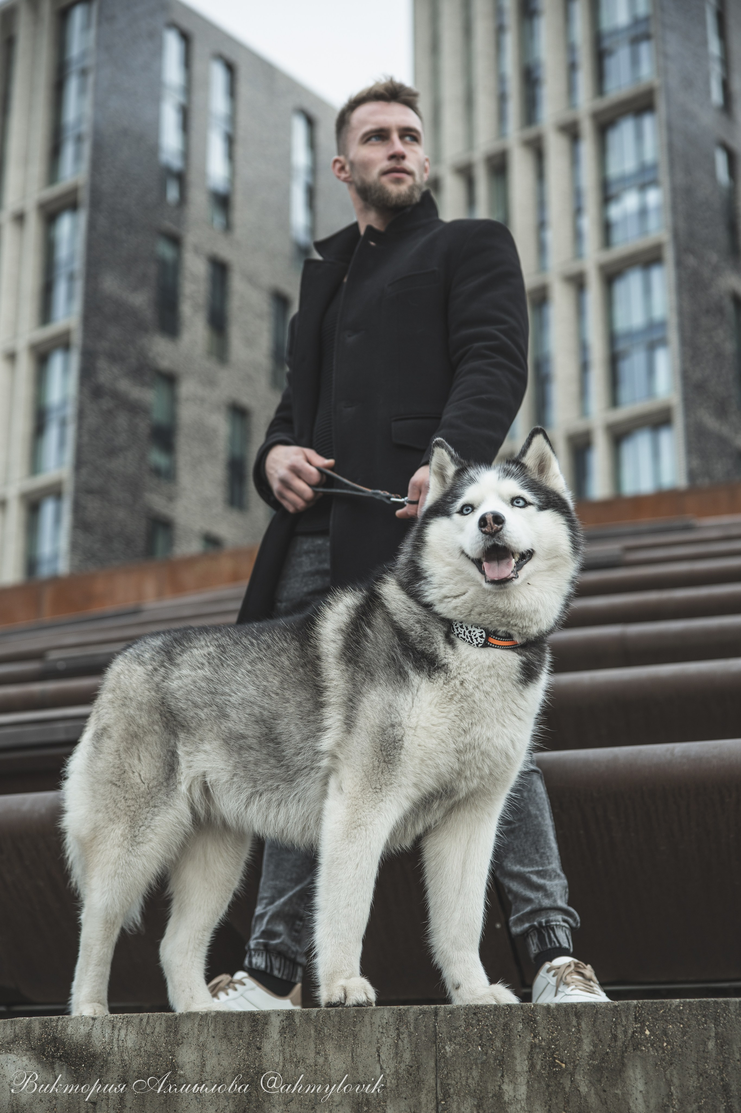 Прогулка с Хаски (Сергей). Виктория Ахмылова. Фотограф в Москве