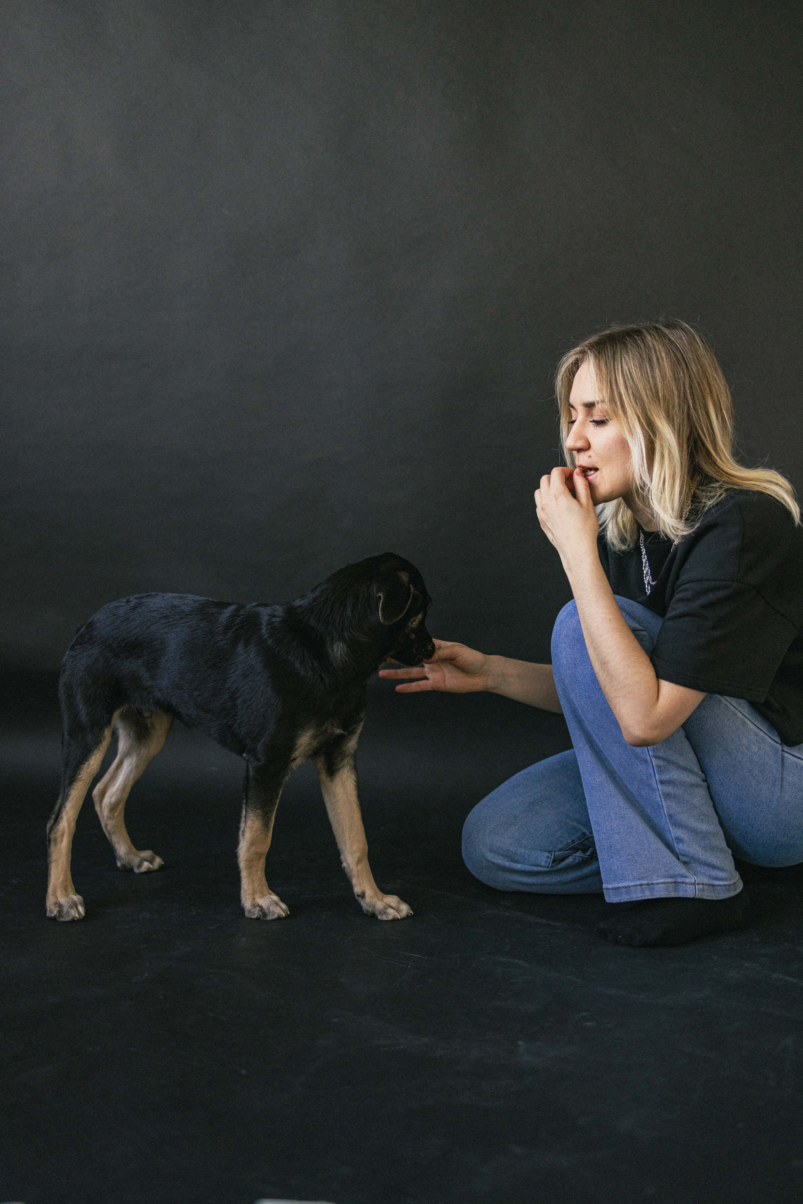 Крис и Тэдди. Фотограф-анималист в Москве Лера Черноног