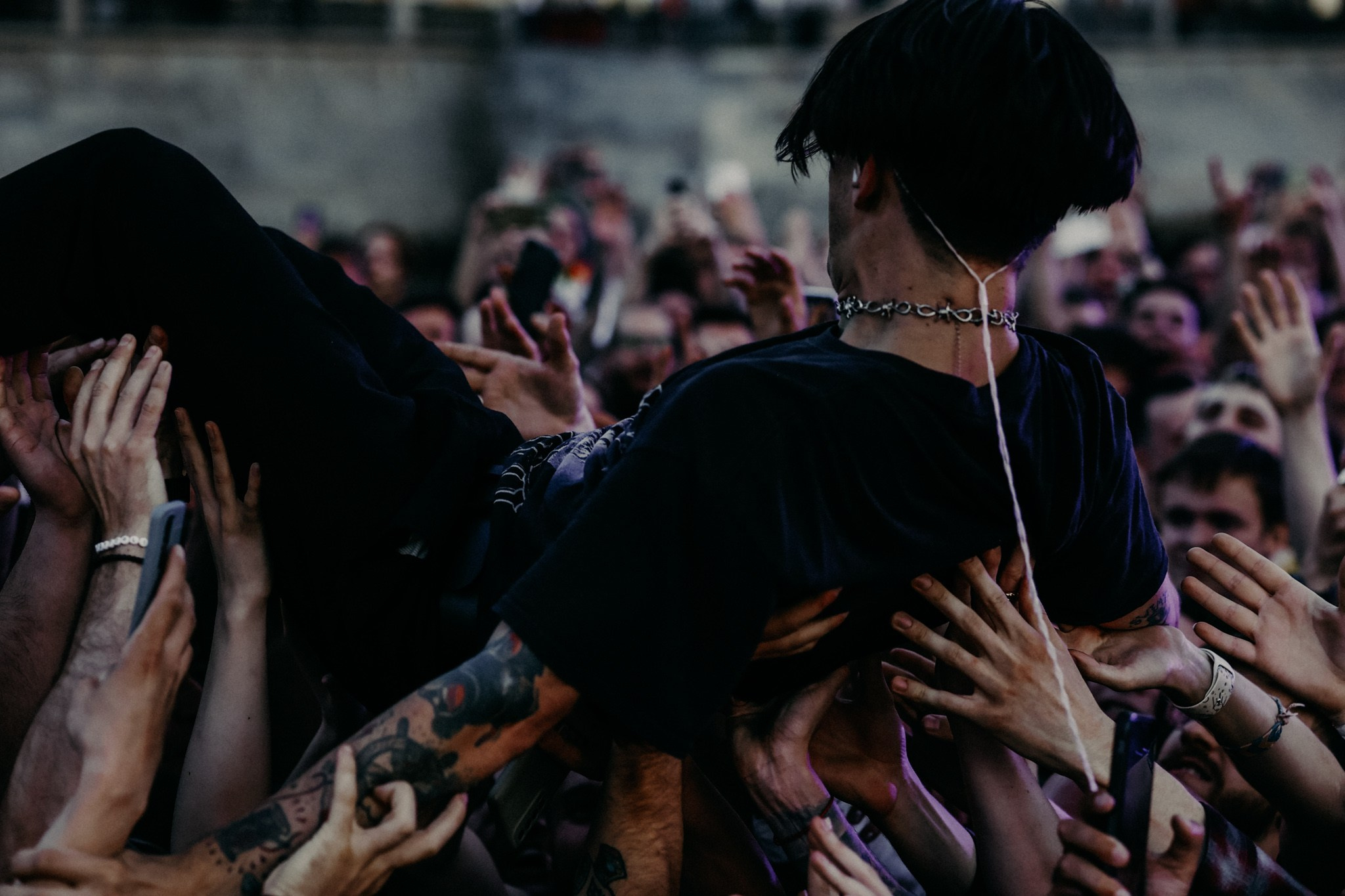 WILDWAYS@ТЕПЛОХОД