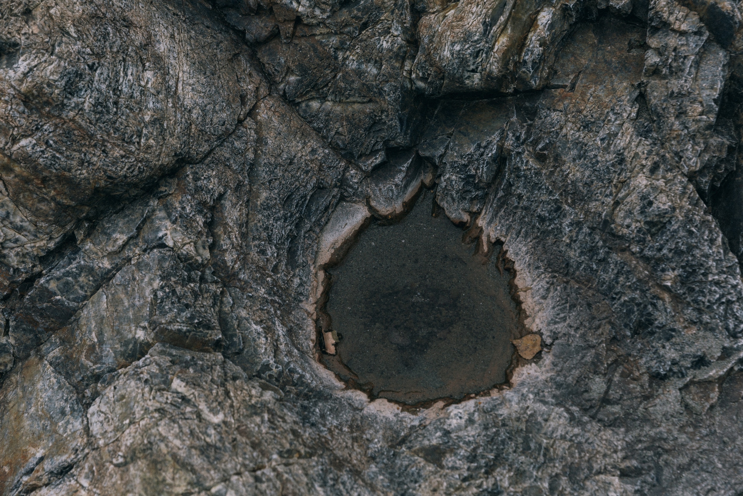 Алтай, природа и эстетика. Александр Чернин. Семейный и событийный фотограф