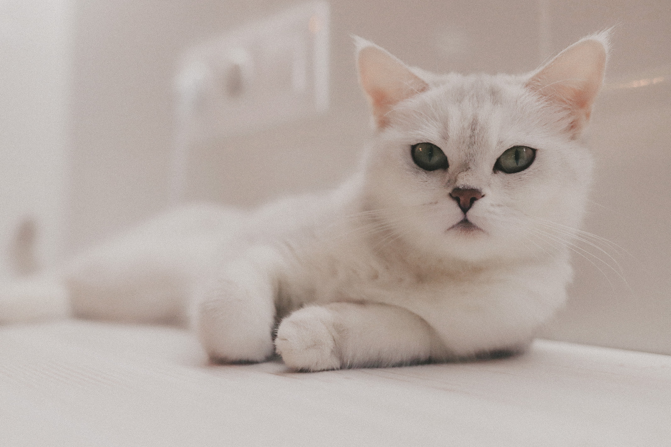 Арина+Артём=Яна (дом). Семейный фотограф в Краснодаре Коломыцева Евгения