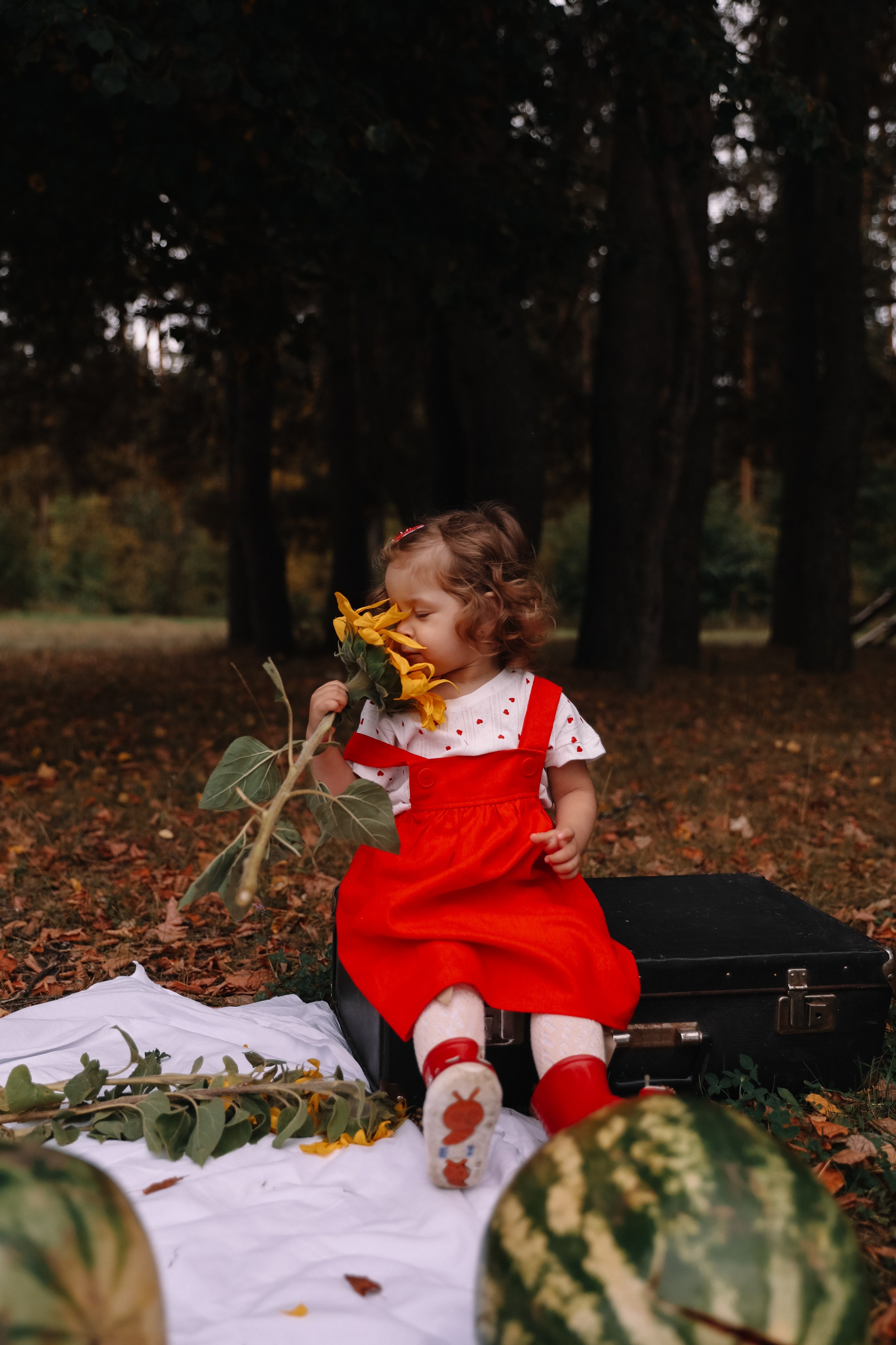 Осенняя чума. Свадебный и семейный фотограф в городе Пенза, Саранск, Ковылкино