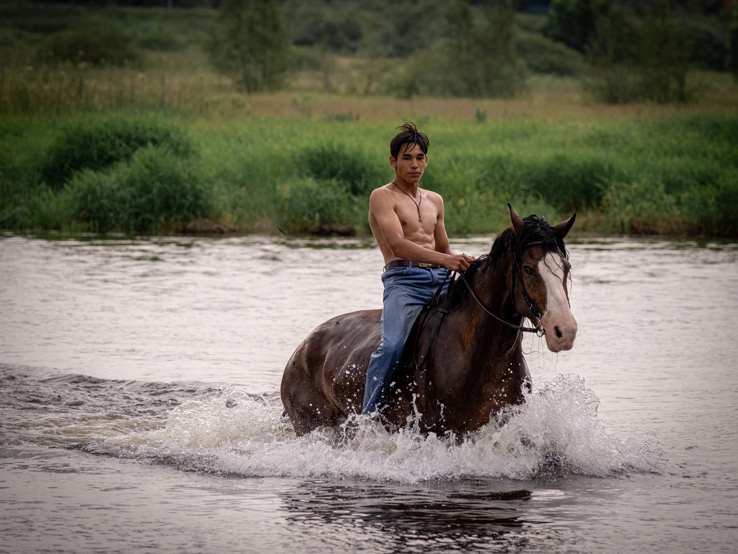 Аванпост, конное ранчо. Зоофотограф, фотограф животных в Москве и области Дина Дамоцева