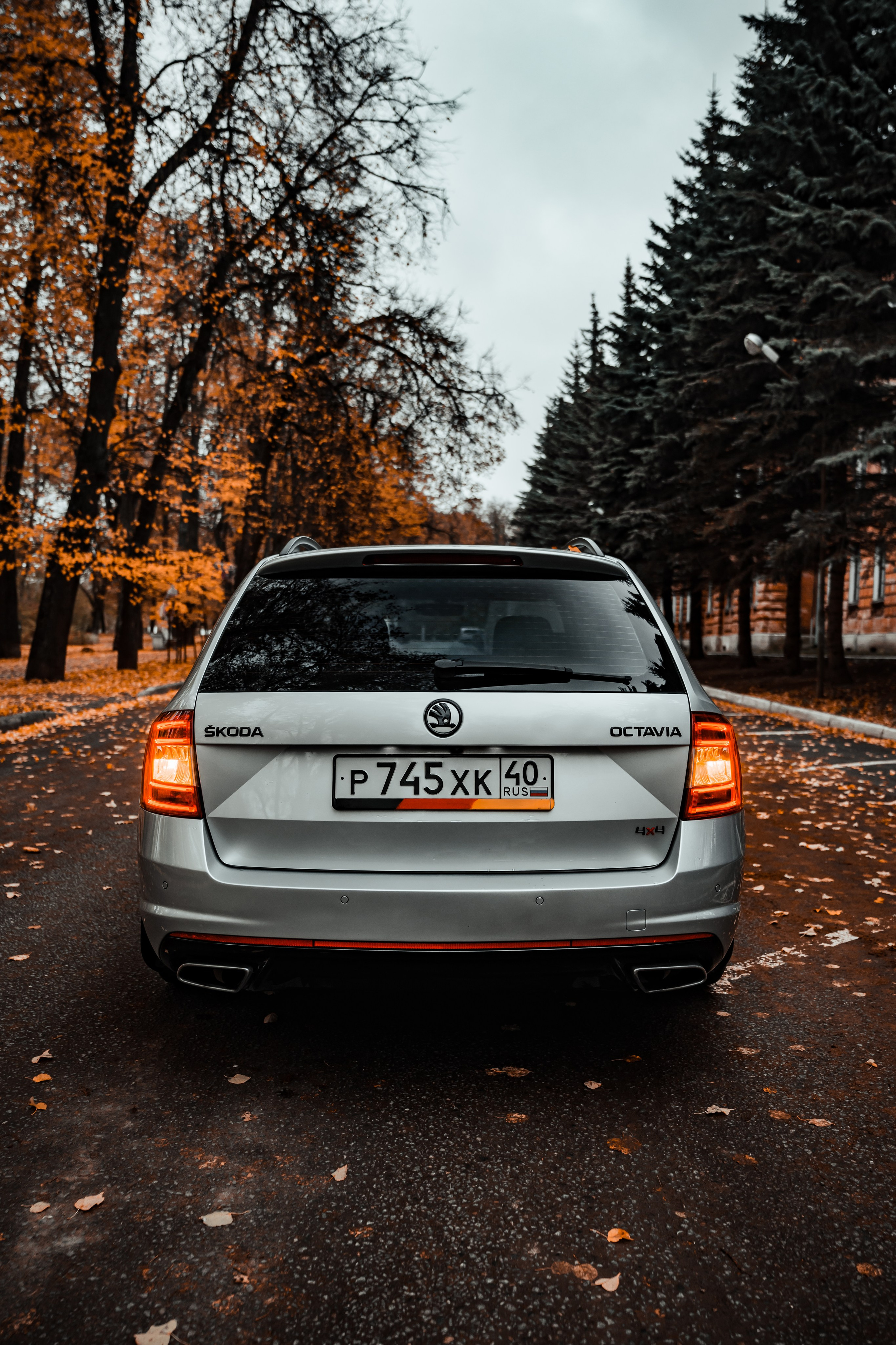 Skoda Octavia A7 v2.0. Vlad Trykov