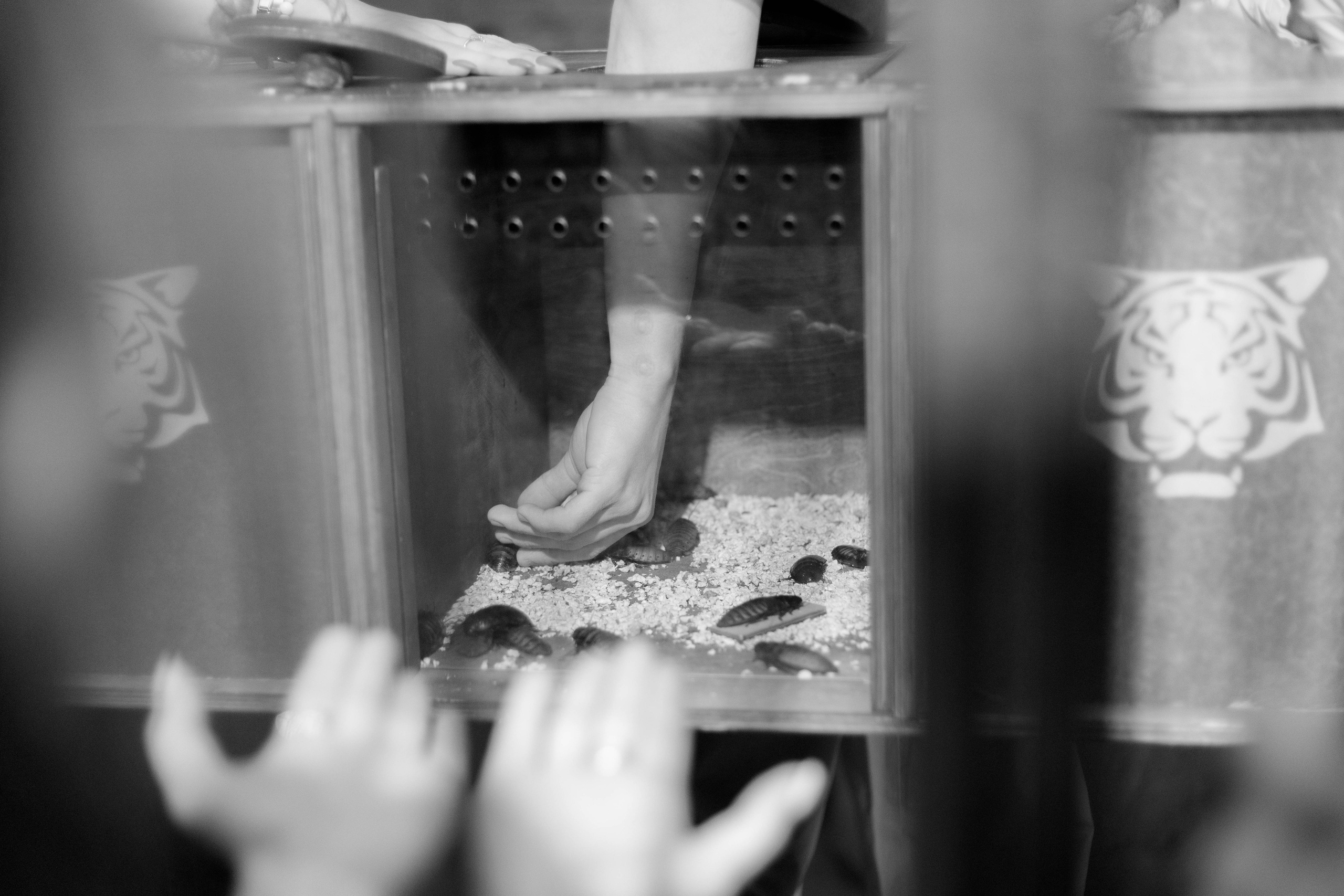 Форт Боярд. Репортажный фотограф в Новосибирске Алена Помазунова