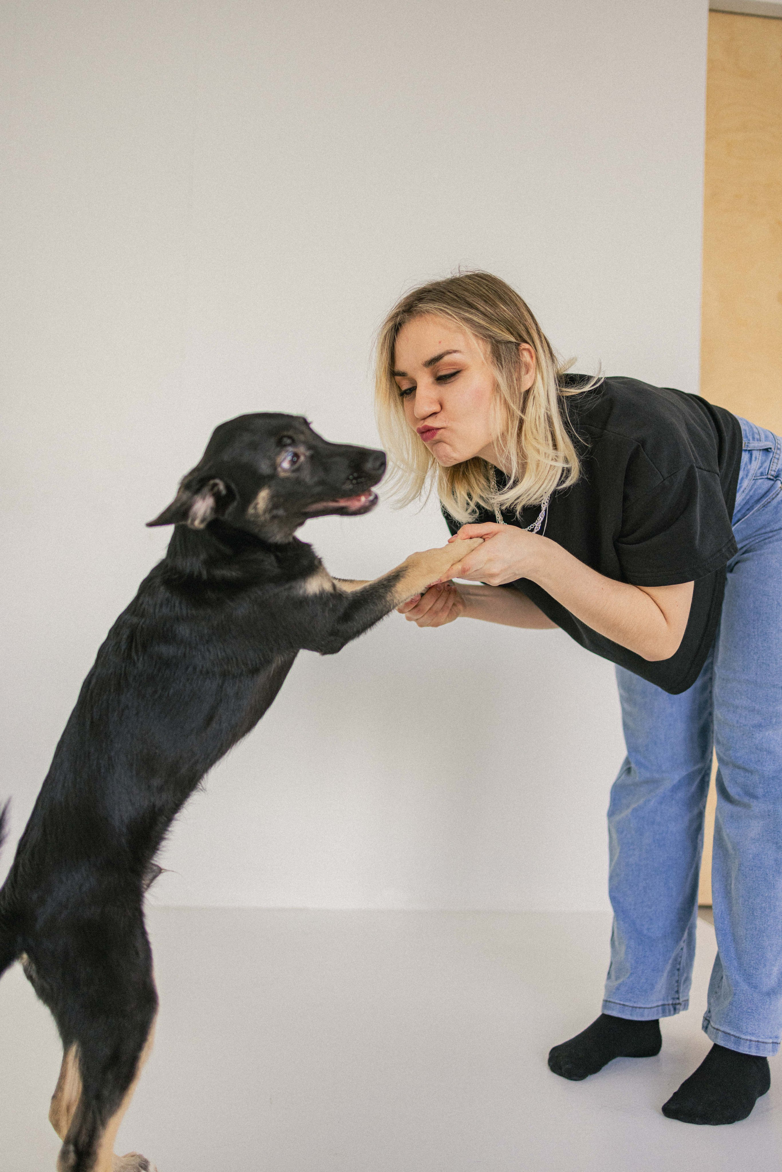 Крис и Тэдди. Фотограф-анималист в Москве Лера Черноног
