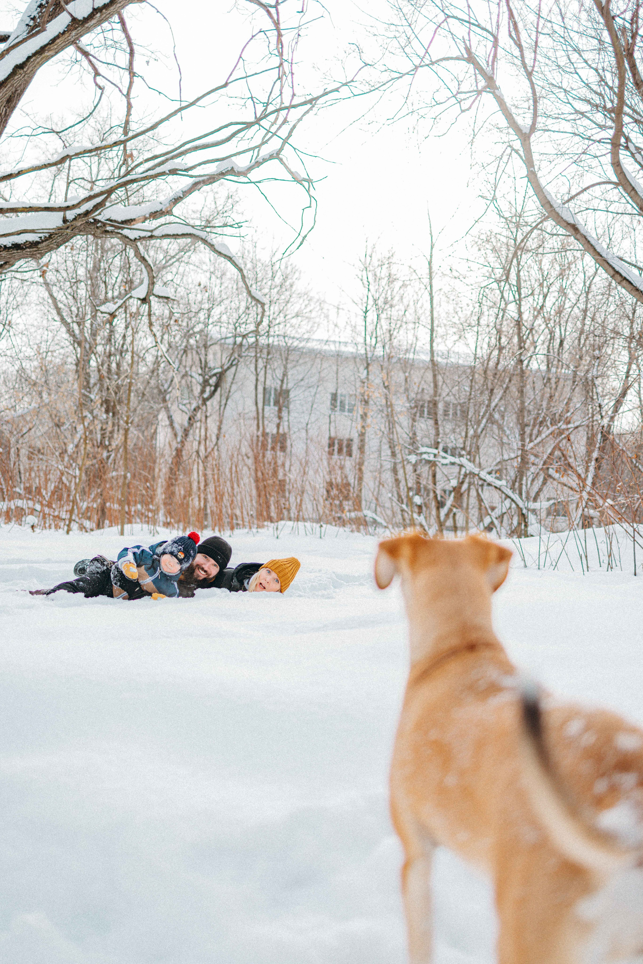 Свобода и ее семья. Фотограф-анималист в Москве Лера Черноног