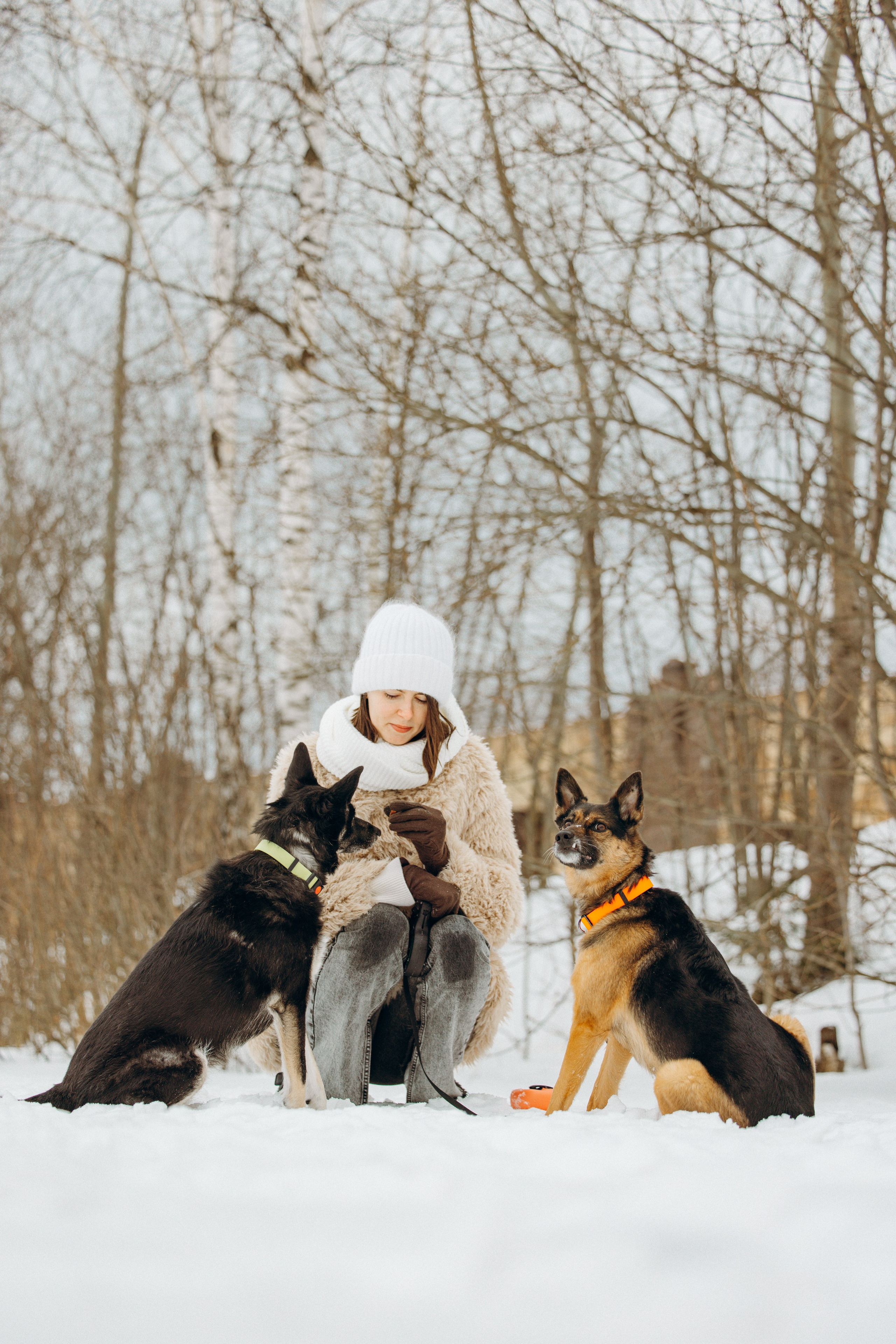 Ника, Матиша и Герда. Фотограф-анималист в Москве Лера Черноног