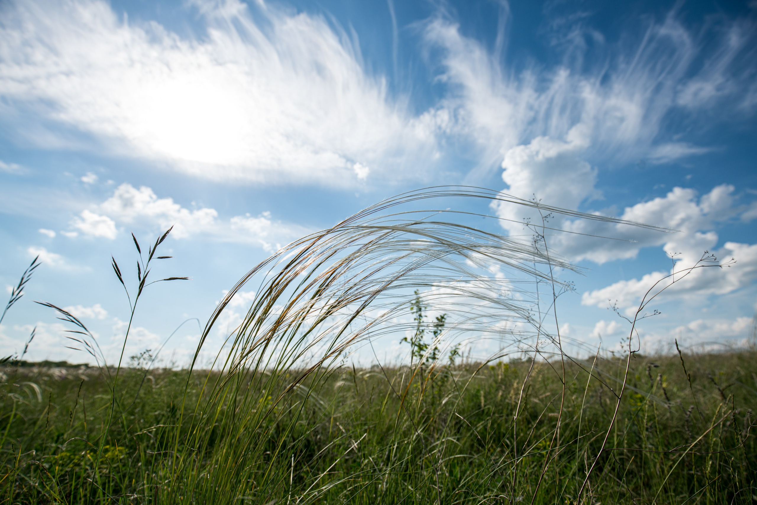 Белогорье, Воронежская область 2017. Фотограф Василий Буланов