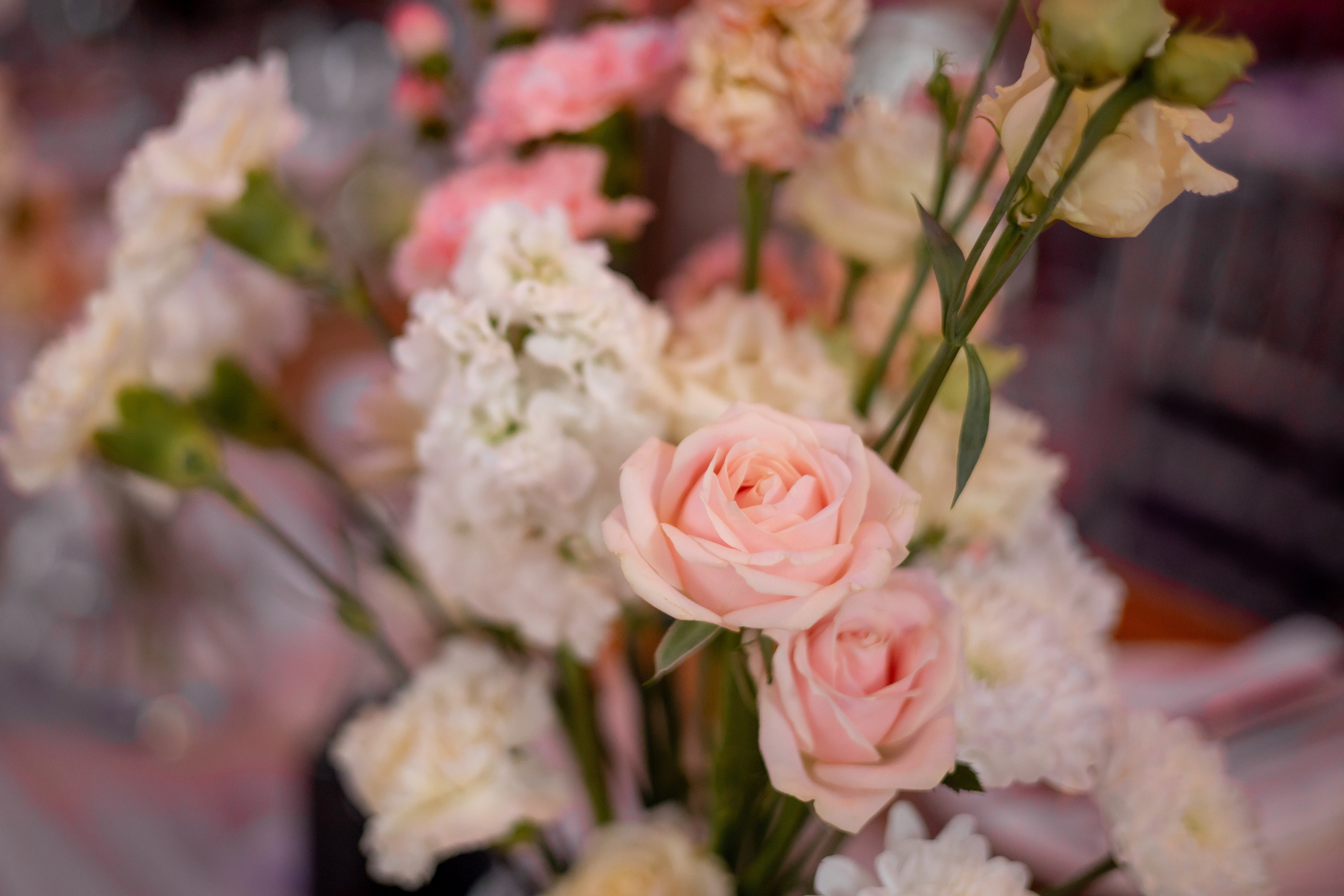 Дни рождения взрослые. Семейный фотограф в Москве