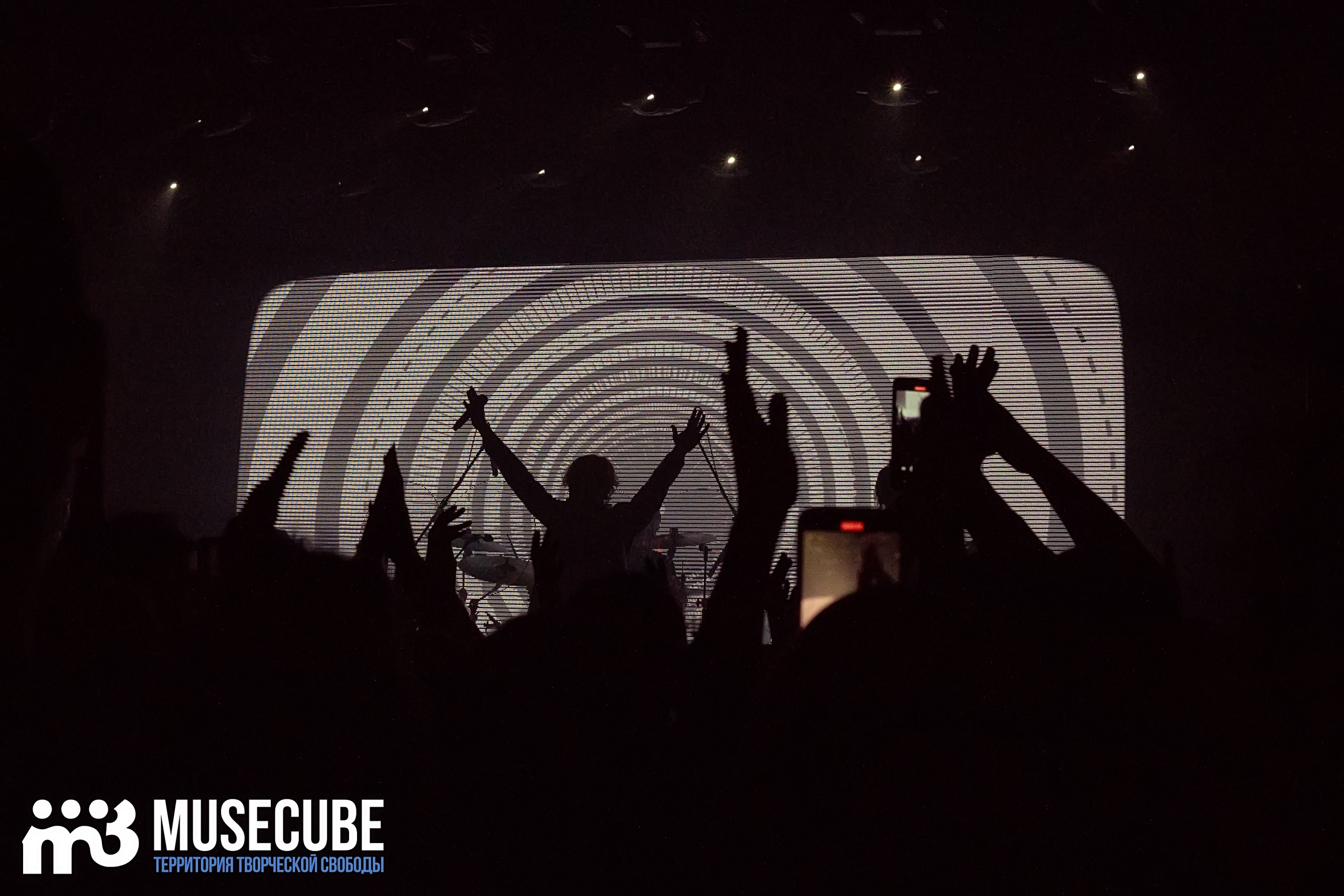 Фотосъемка концерта Найк Борзов Космонавт СПБ. Портретные фотосессии, контент-съемки, репортаж