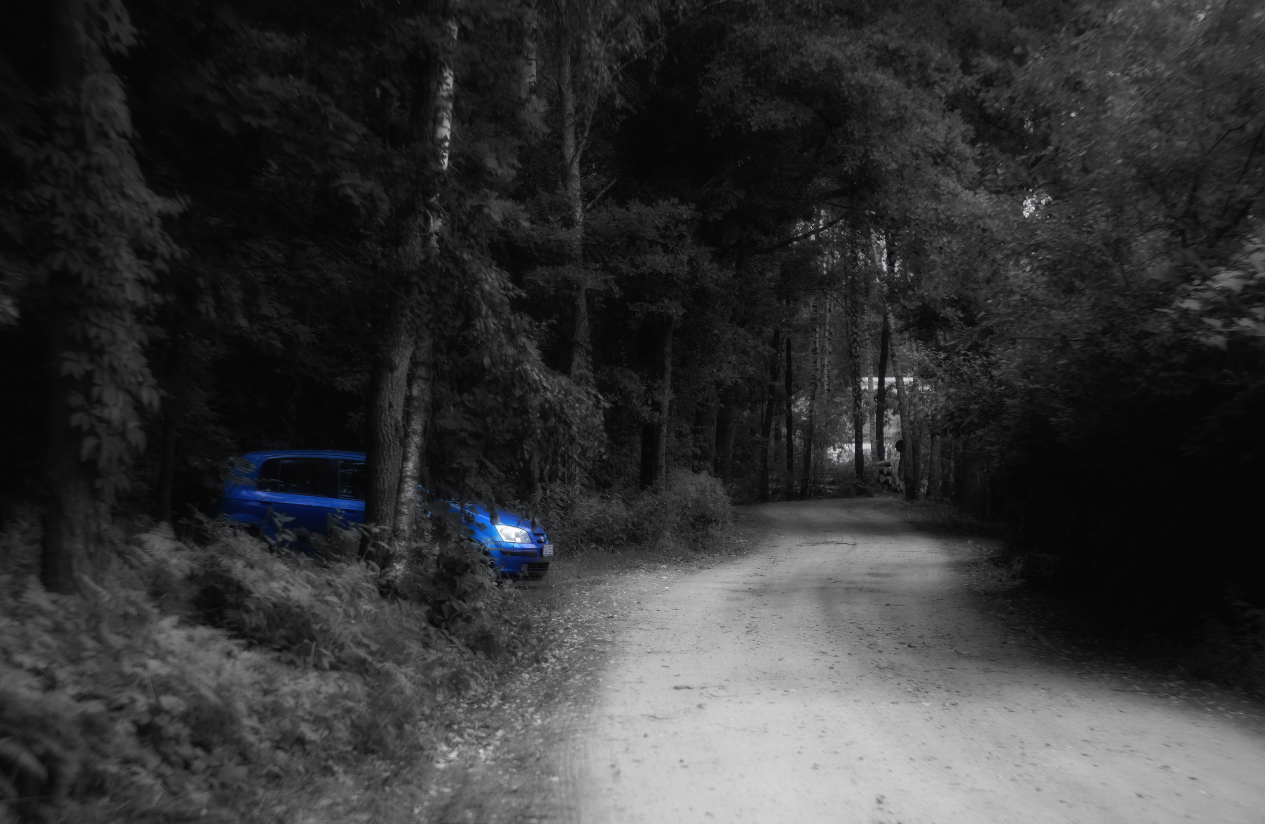 ЧБ  пейзажи (BnW landscape). Фотограф (photographer) Lischinski Vitaliy