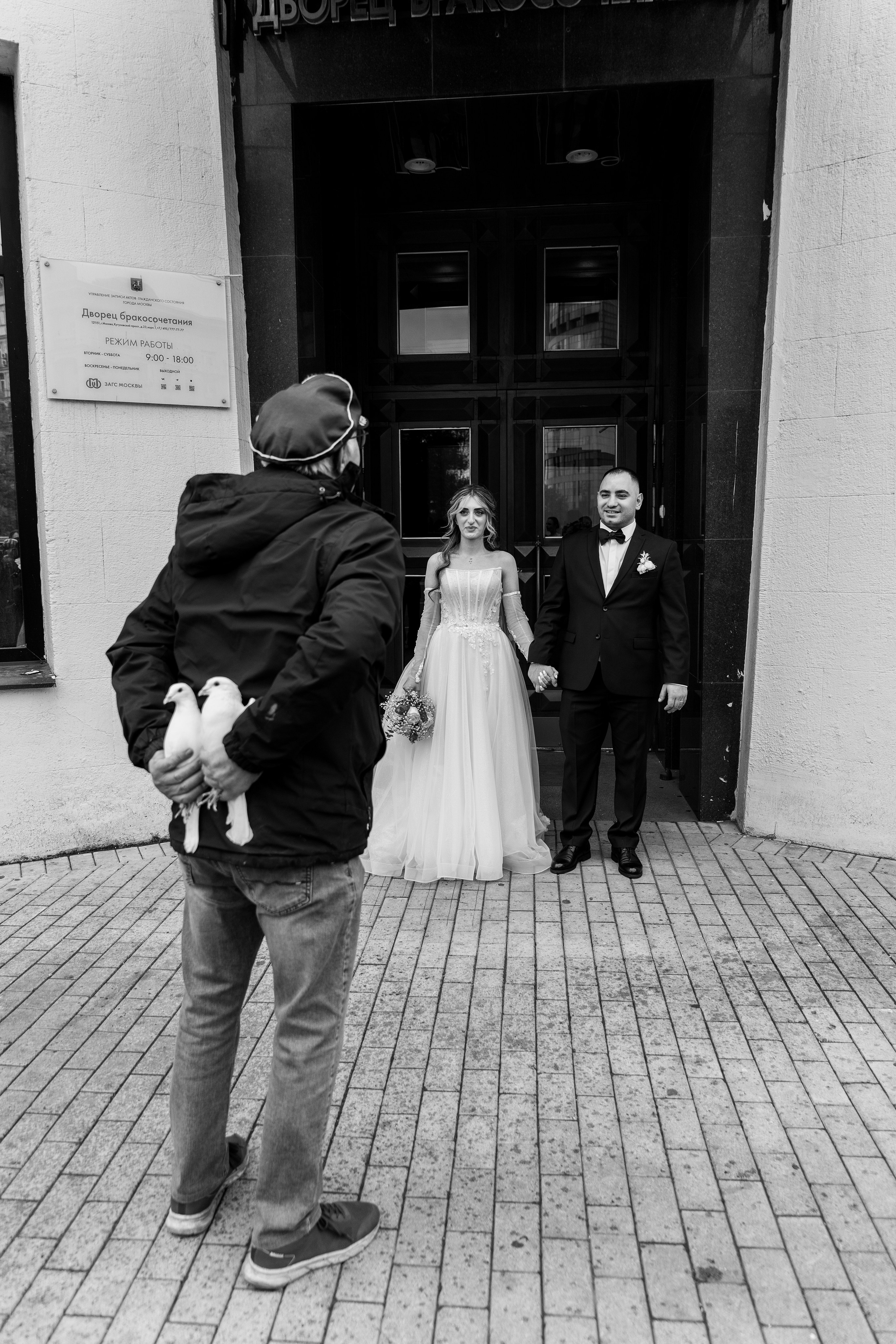 Артём Мэри Свадьба. Գլխավոր