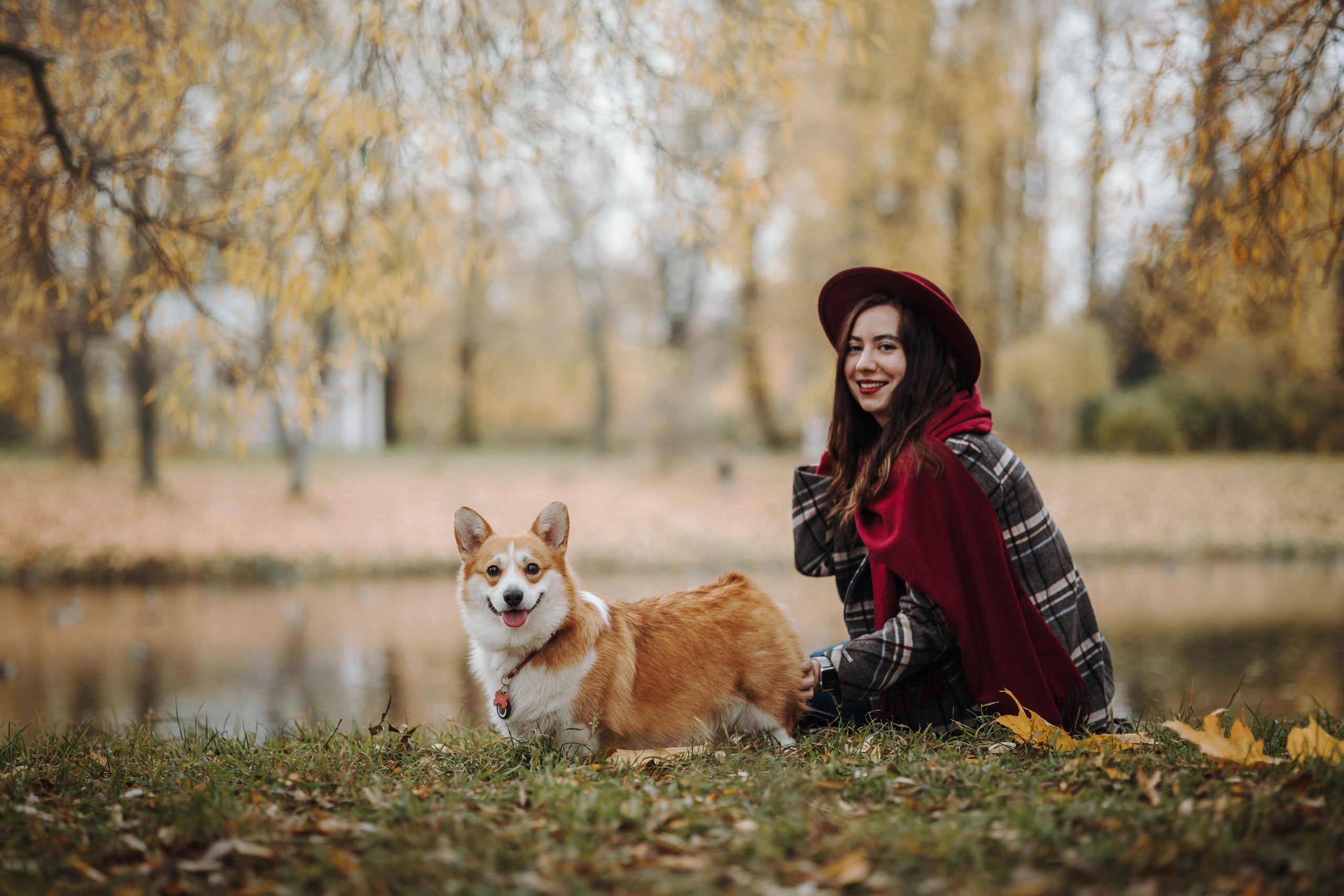 Юля и Терри. Фотограф — Анималист | Санкт-Петербург