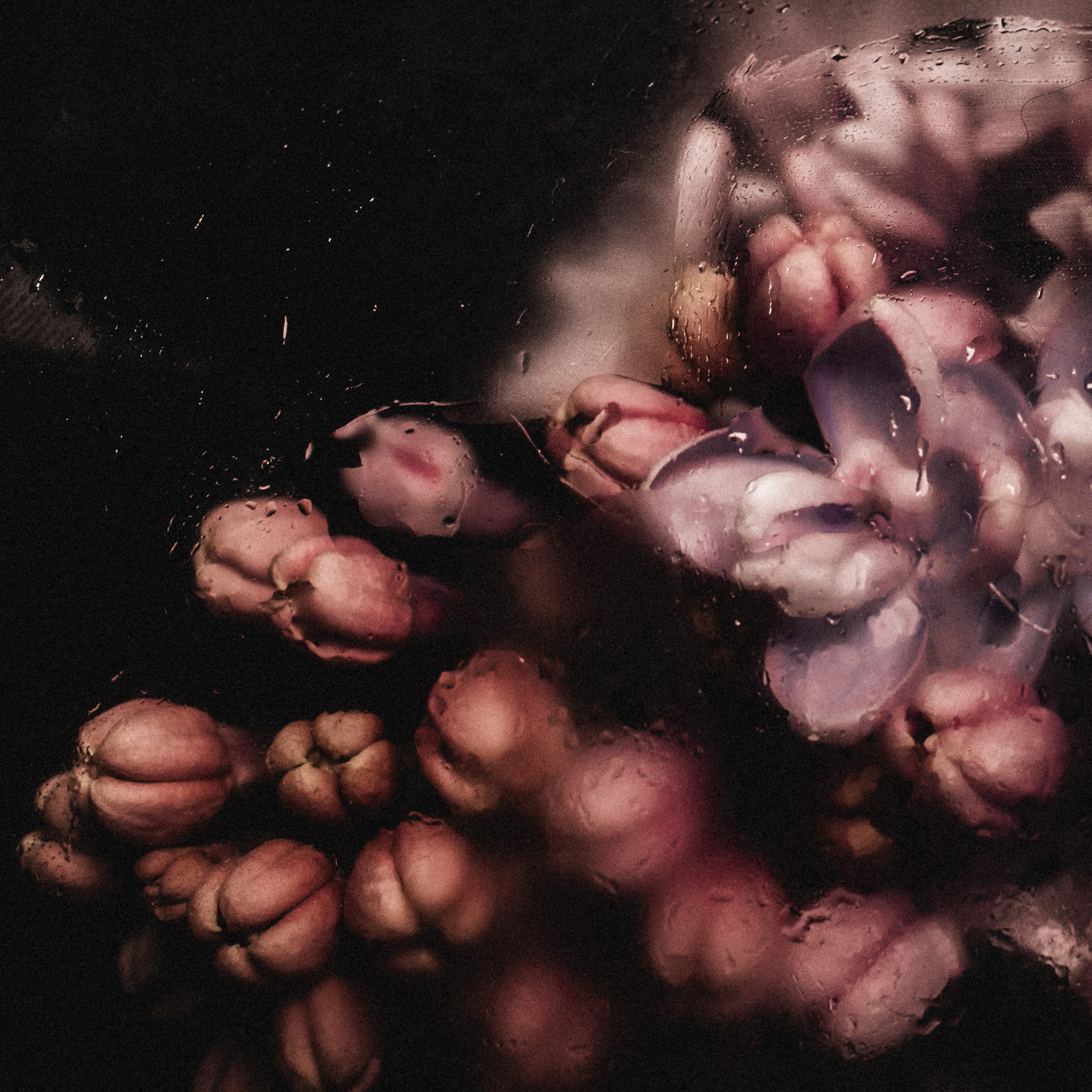 Фотограф Грачев Никита