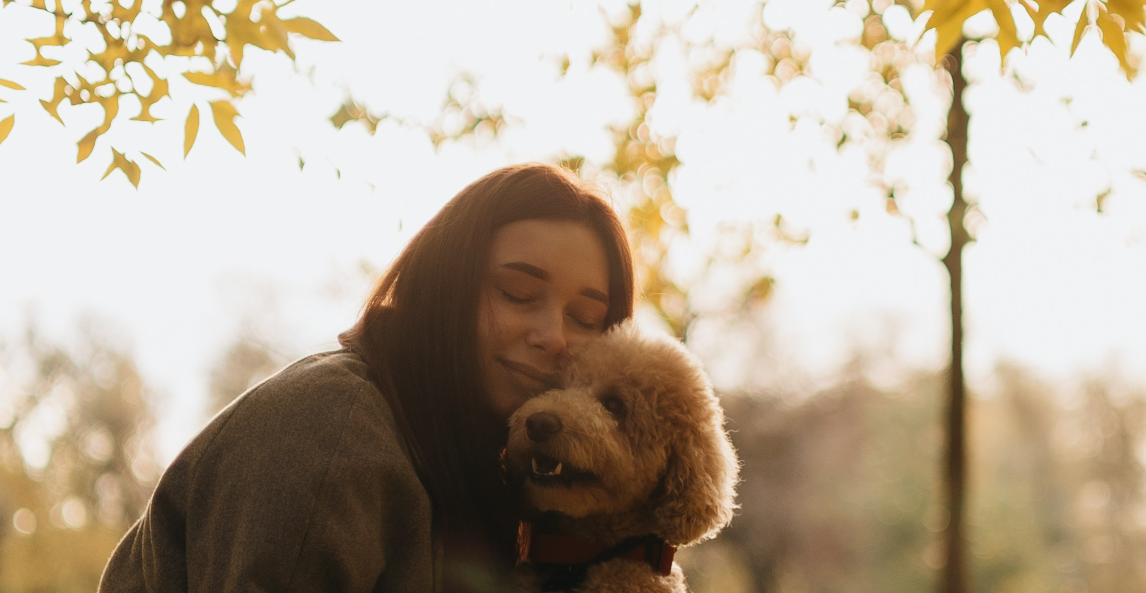 Полина, Рома и Рич. Фотограф животных Евгения Верцинская