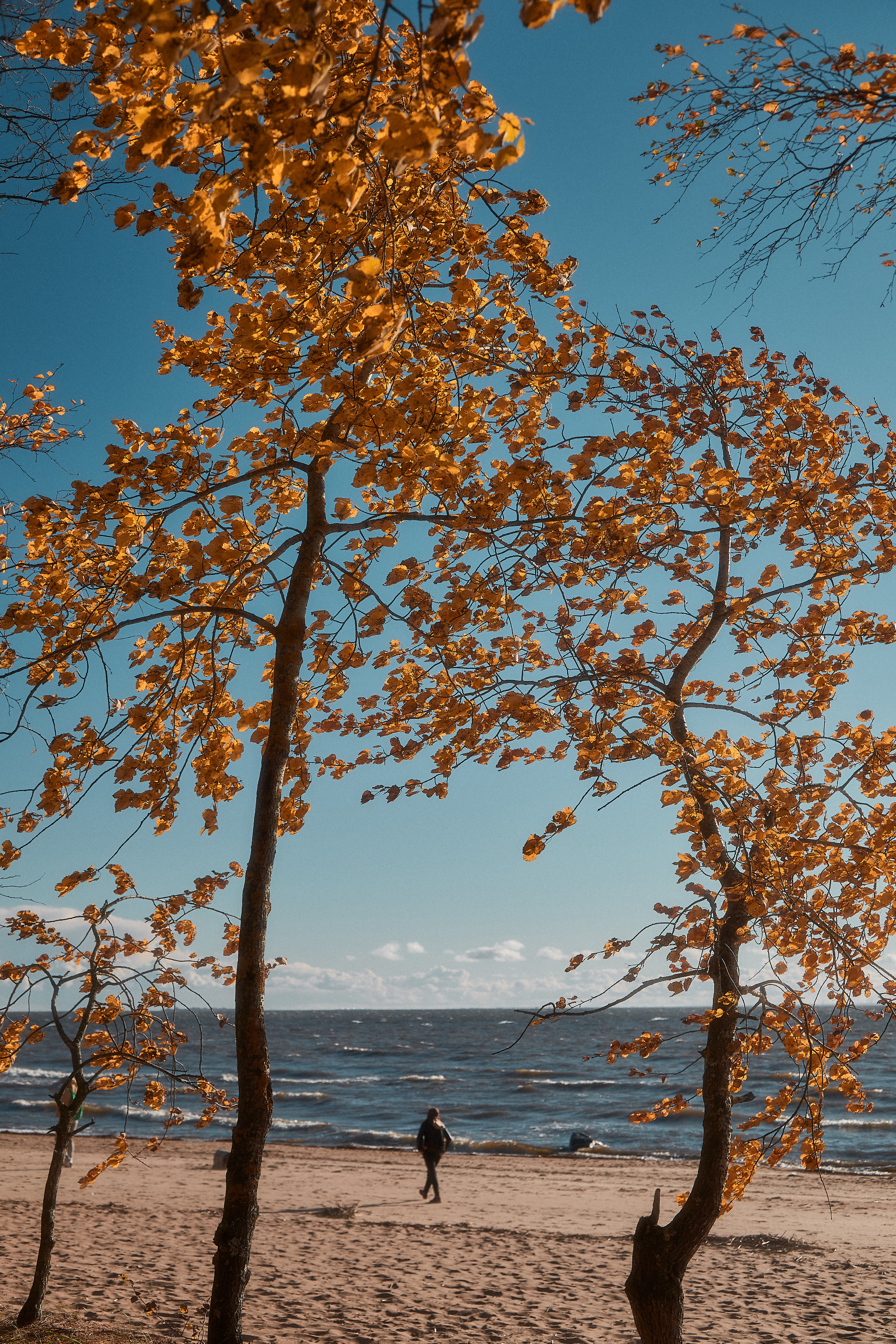Разное. Фотограф Анастасия Федорова  Санкт-Петербург