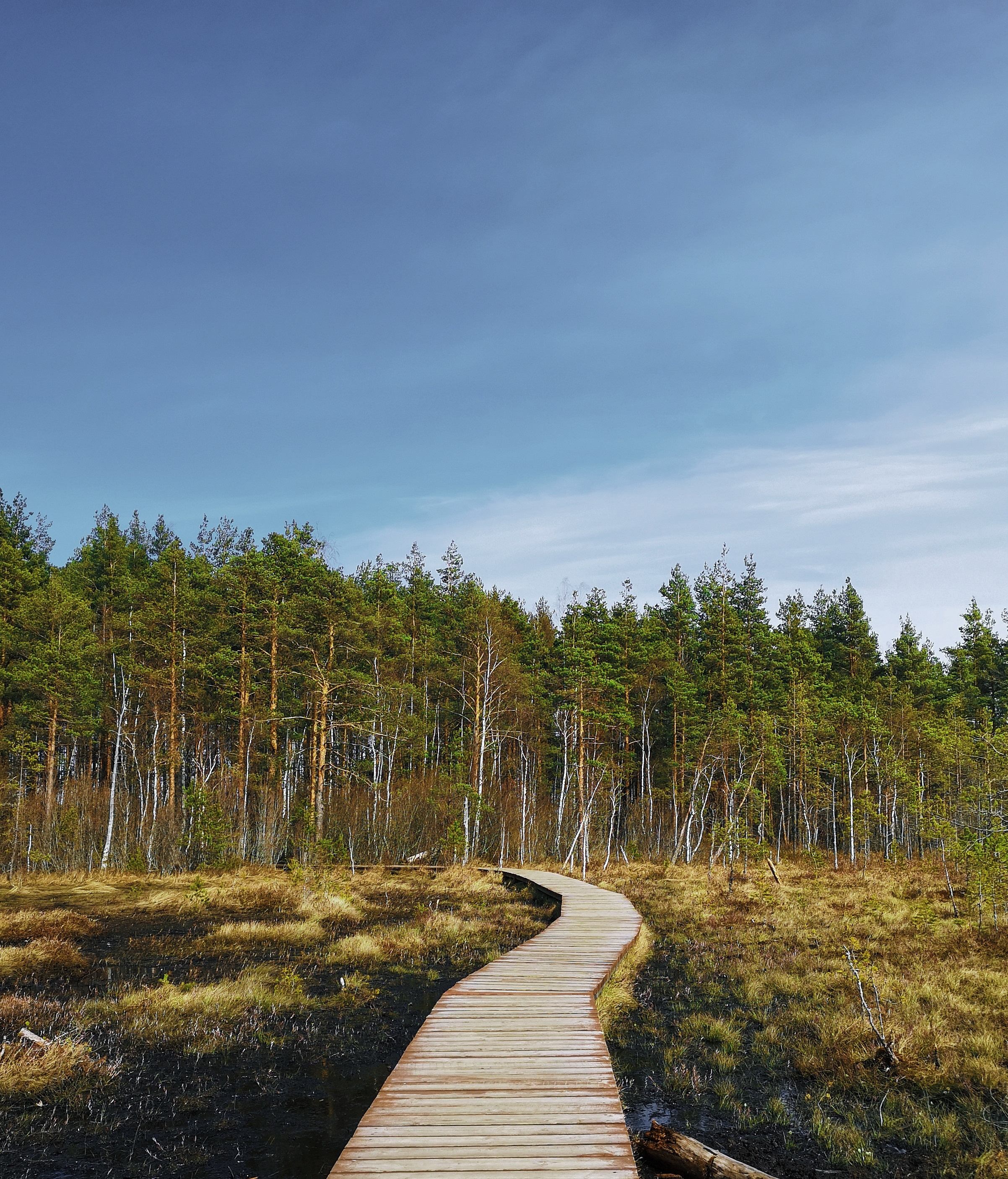 Разное. Фотограф Анастасия Федорова  Санкт-Петербург