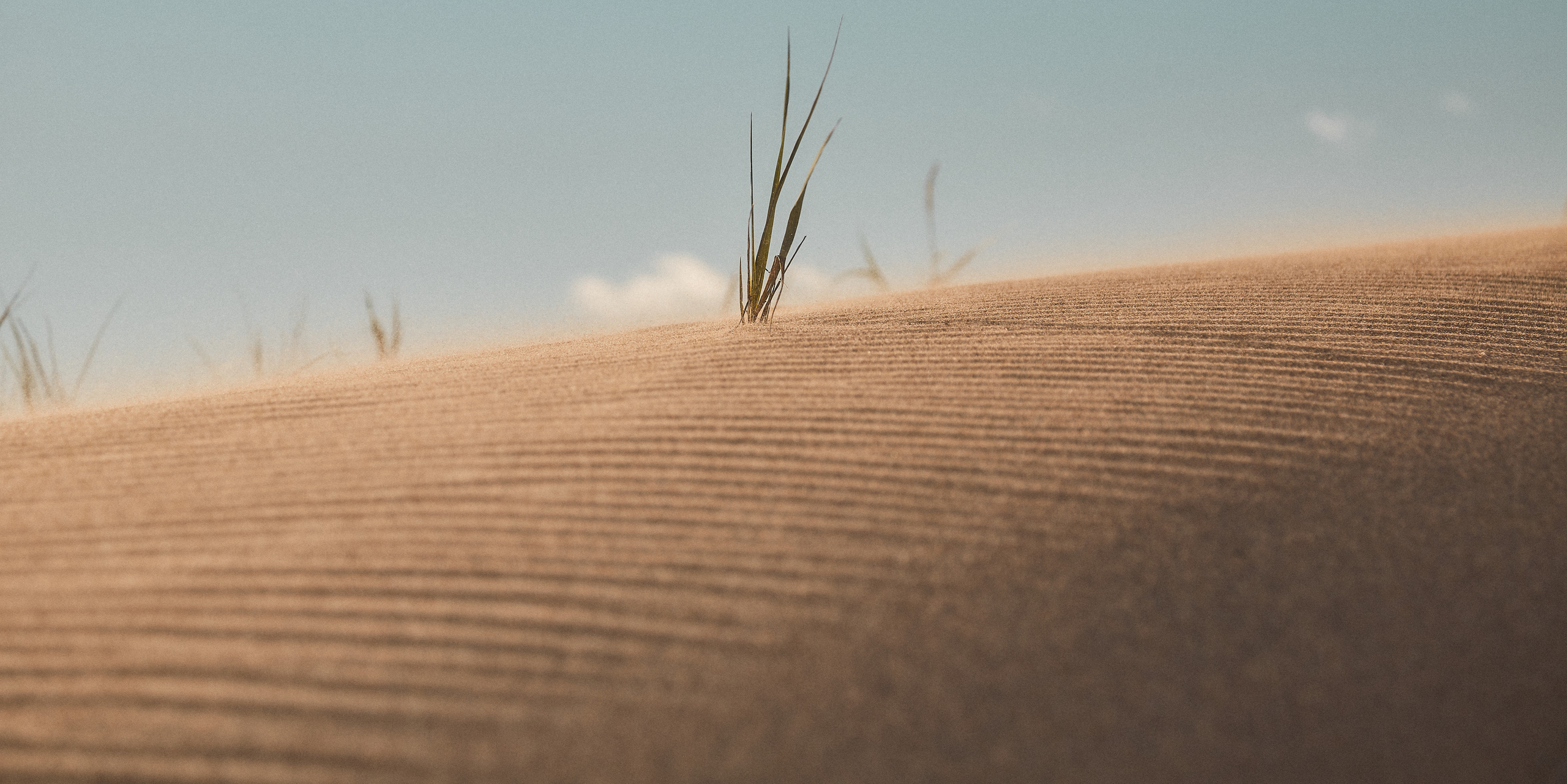 Разное. Фотограф Анастасия Федорова  Санкт-Петербург