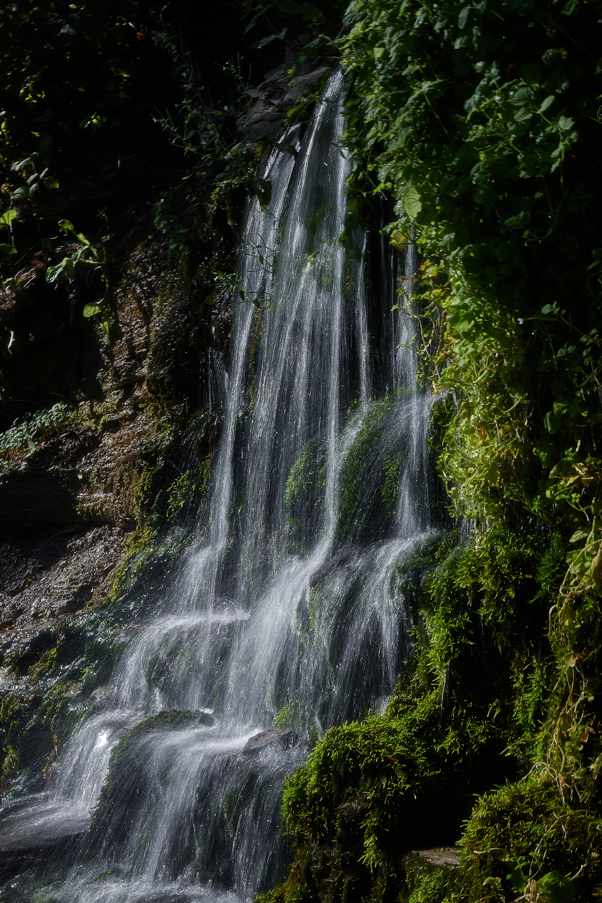Разное. Фотограф Анастасия Федорова  Санкт-Петербург