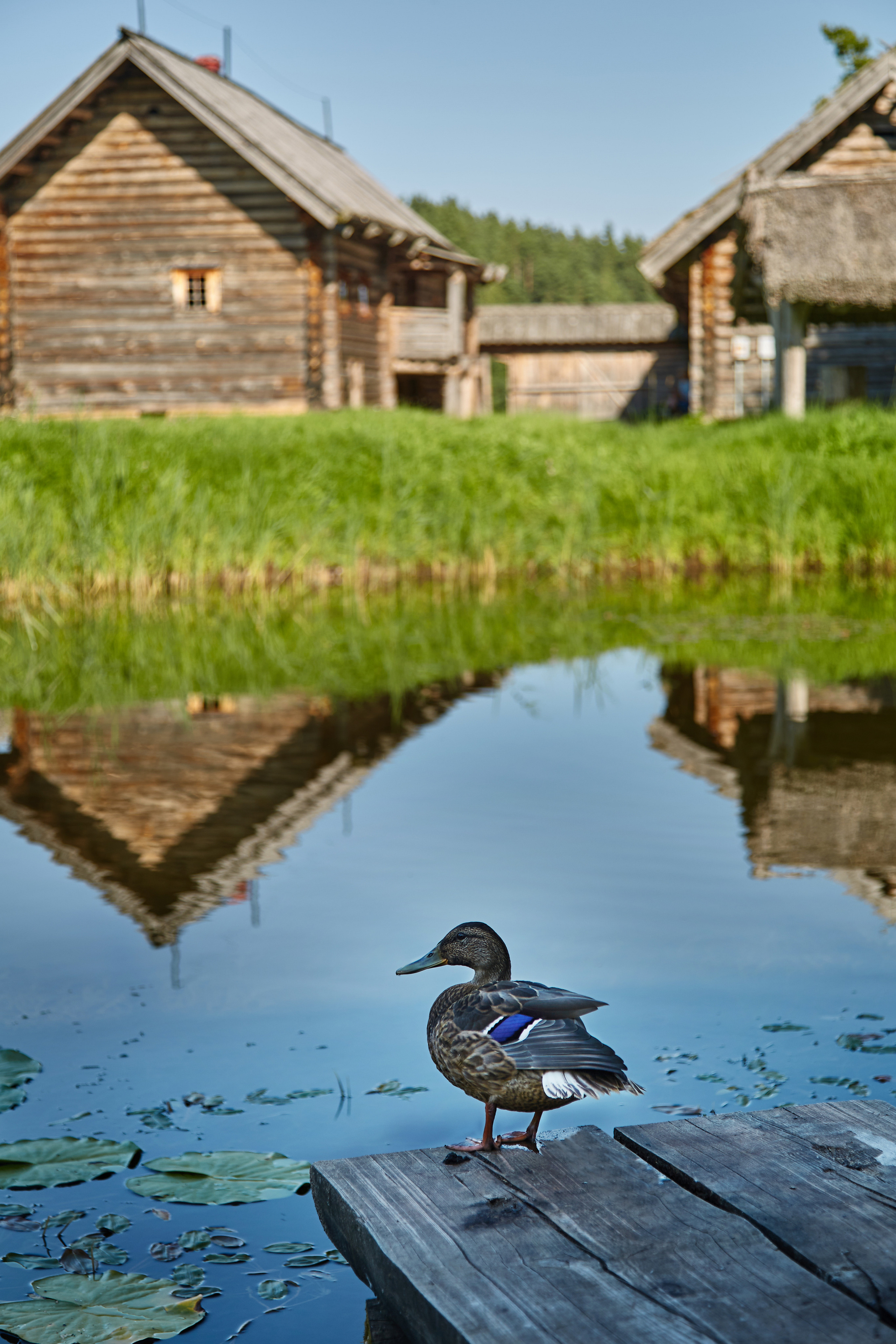 Разное. Фотограф Анастасия Федорова  Санкт-Петербург