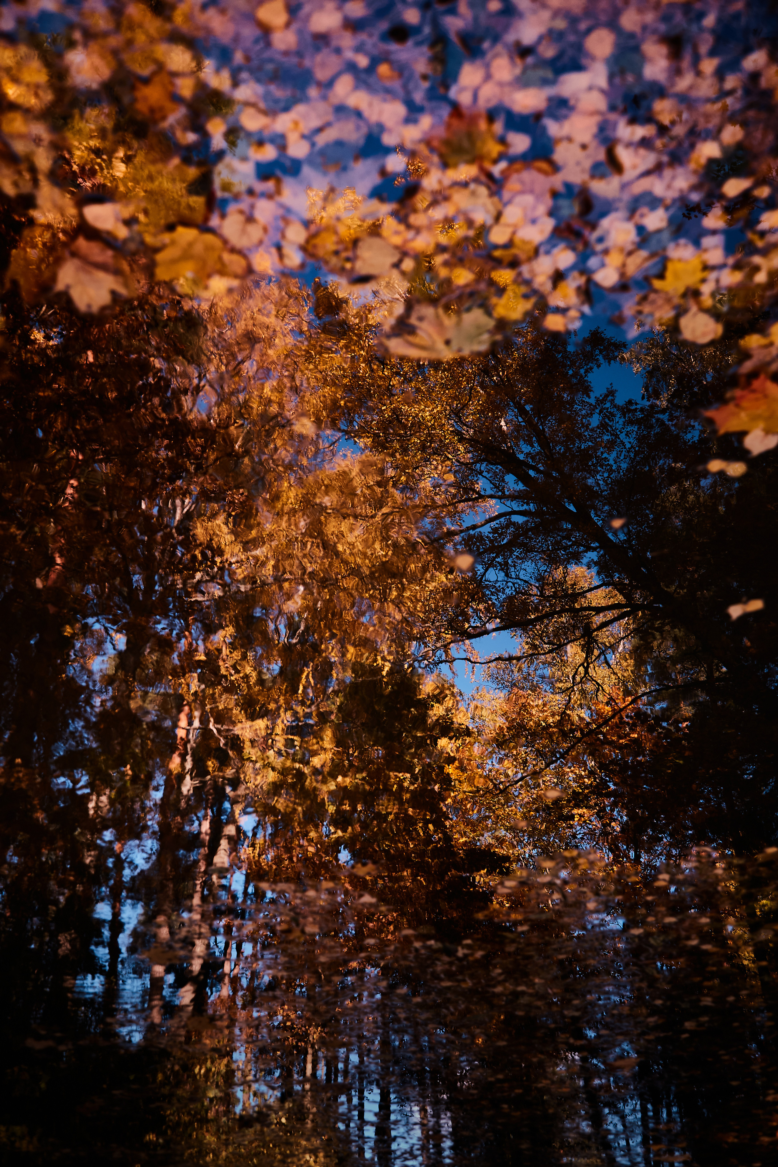 Разное. Фотограф Анастасия Федорова  Санкт-Петербург