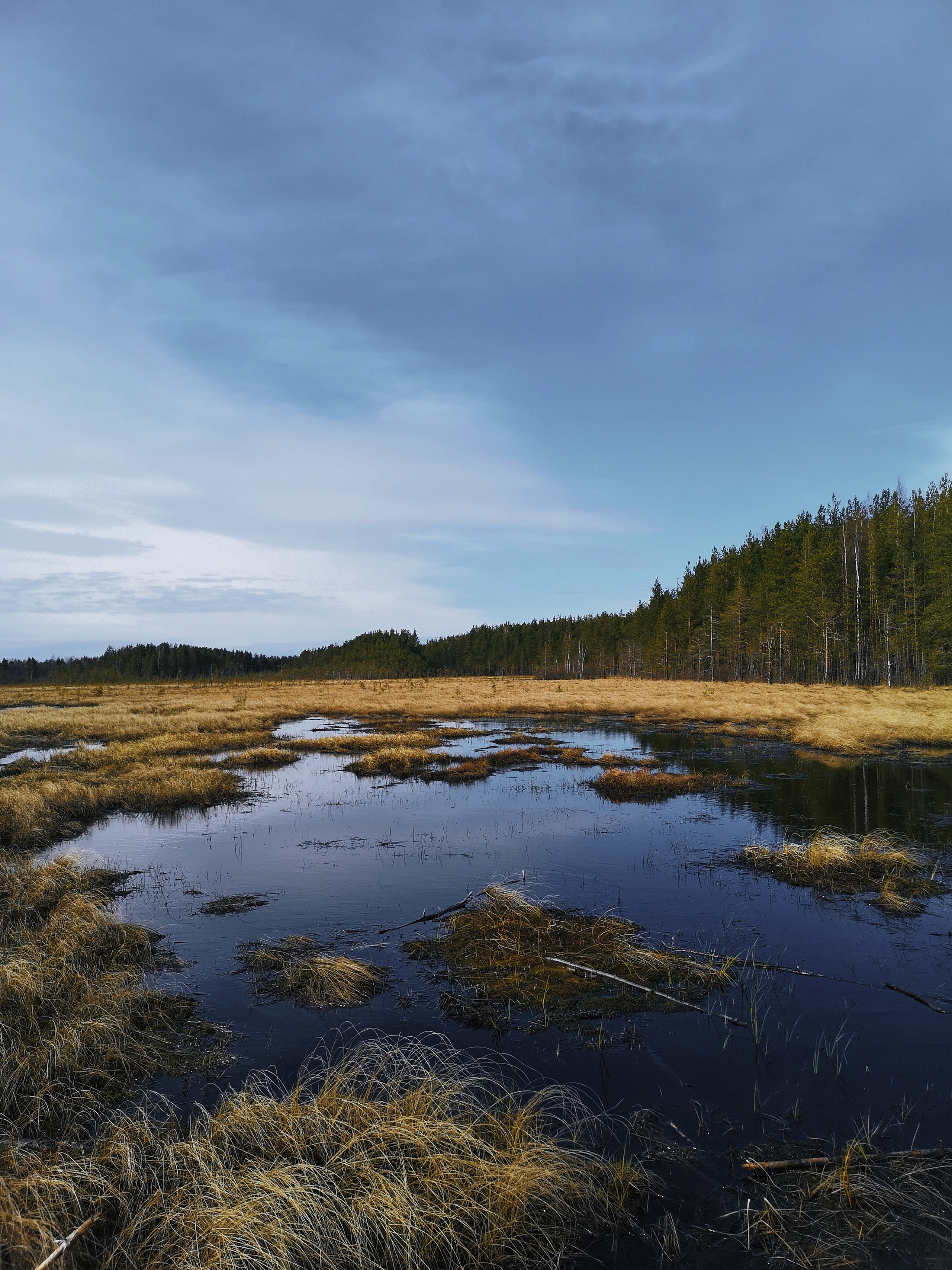 Разное. Фотограф Анастасия Федорова  Санкт-Петербург