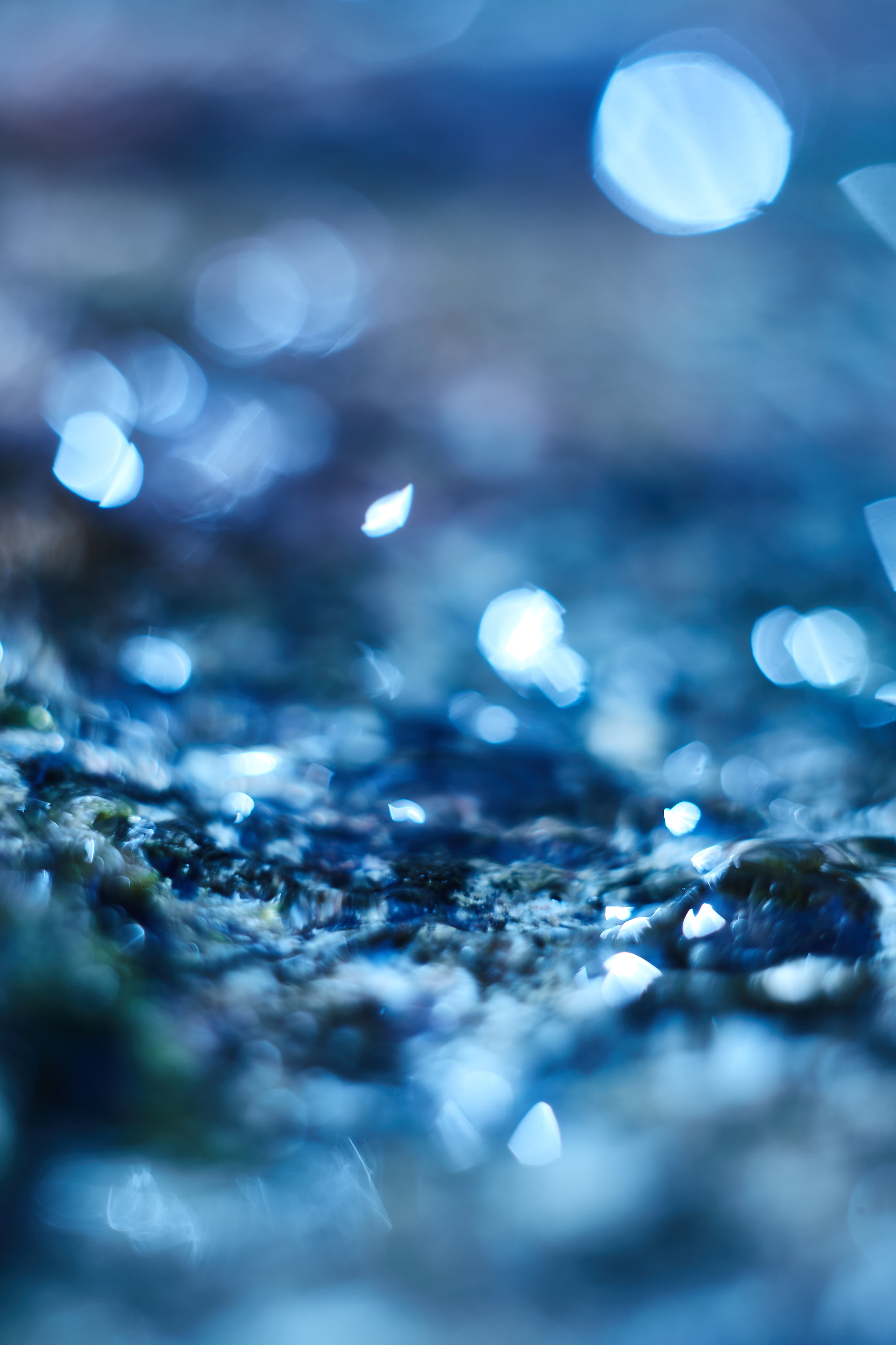 Art пейзаж. Фотограф Анастасия Федорова  Санкт-Петербург