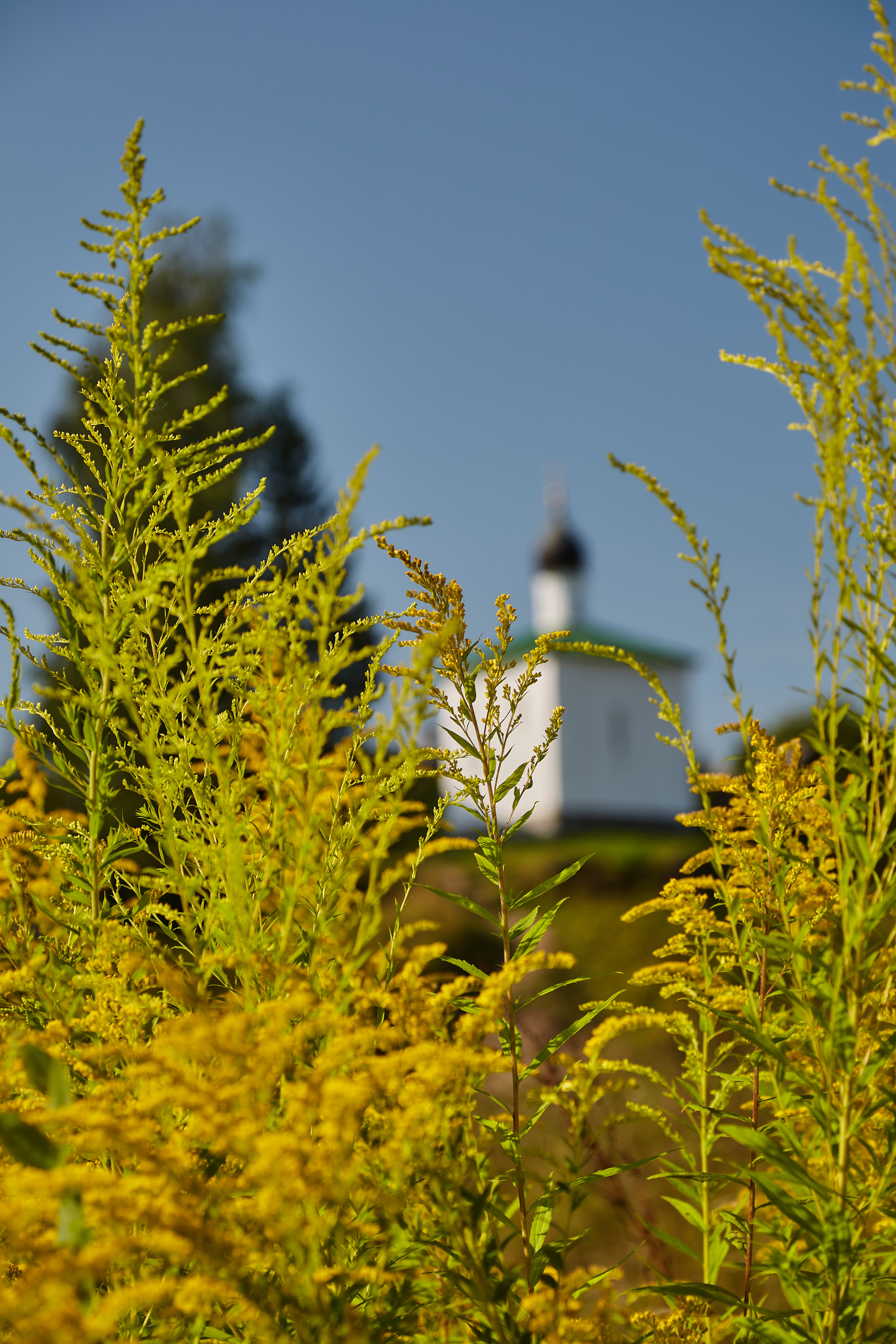 Разное. Фотограф Анастасия Федорова  Санкт-Петербург