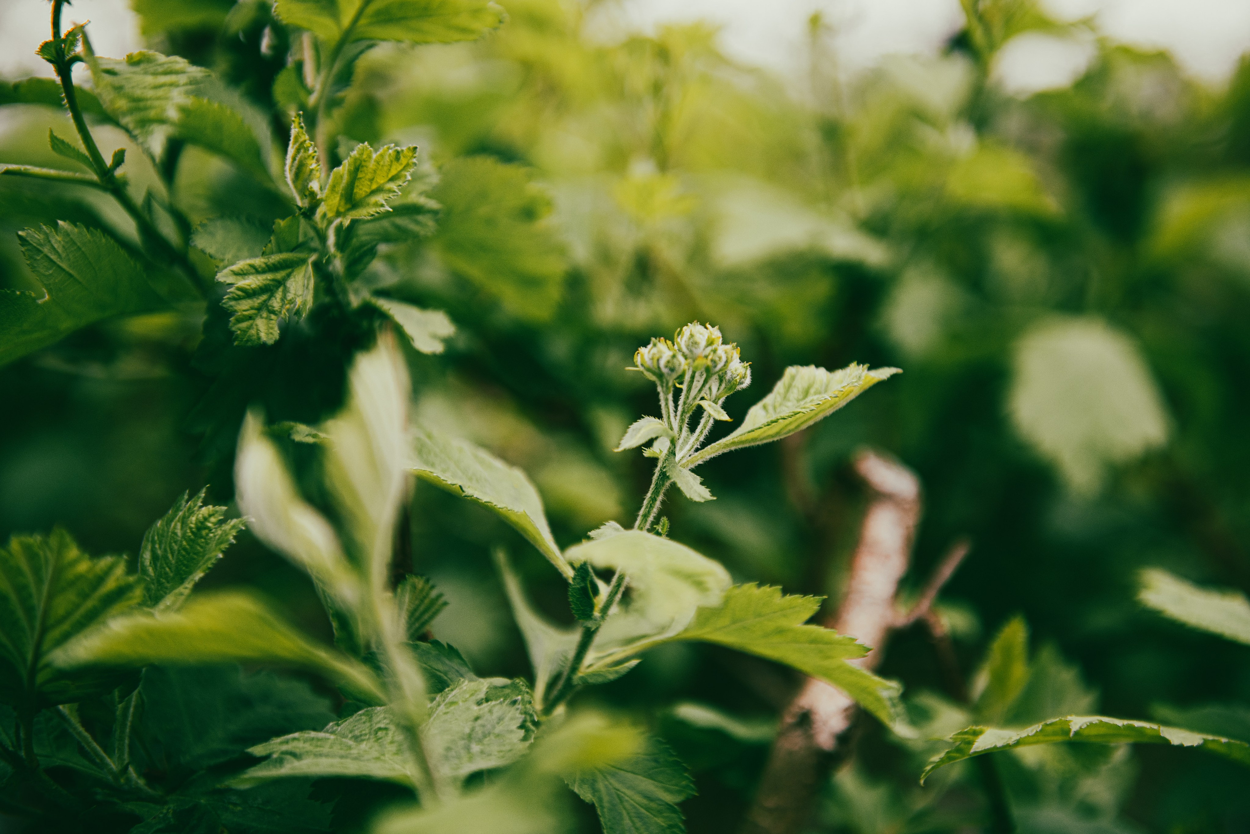 Текстуры апреля. Портретный и архитектурный фотограф в Москве и Санкт-Петербурге