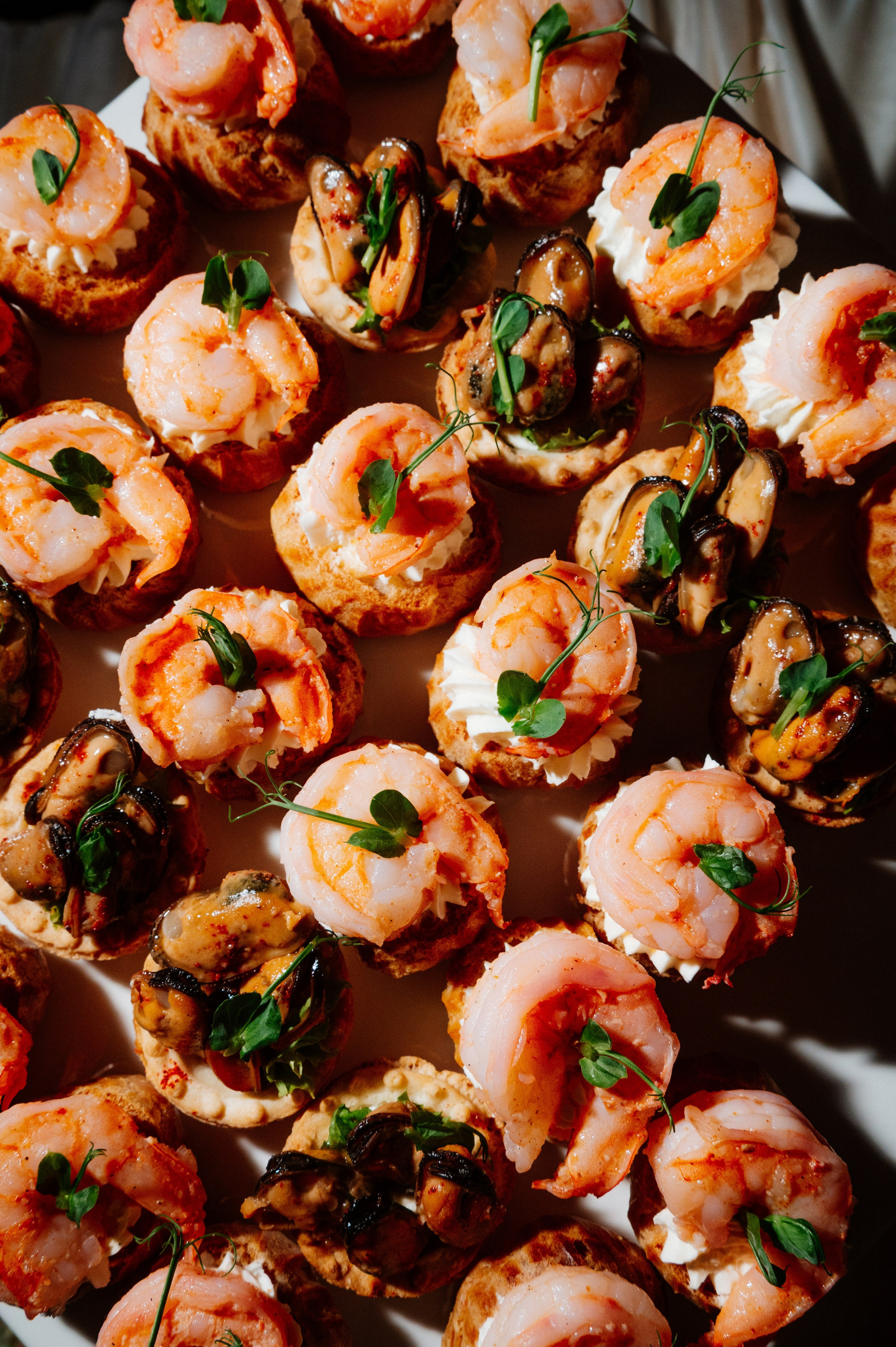 Репортажи. Сайт фотографа Данилы Пащенко