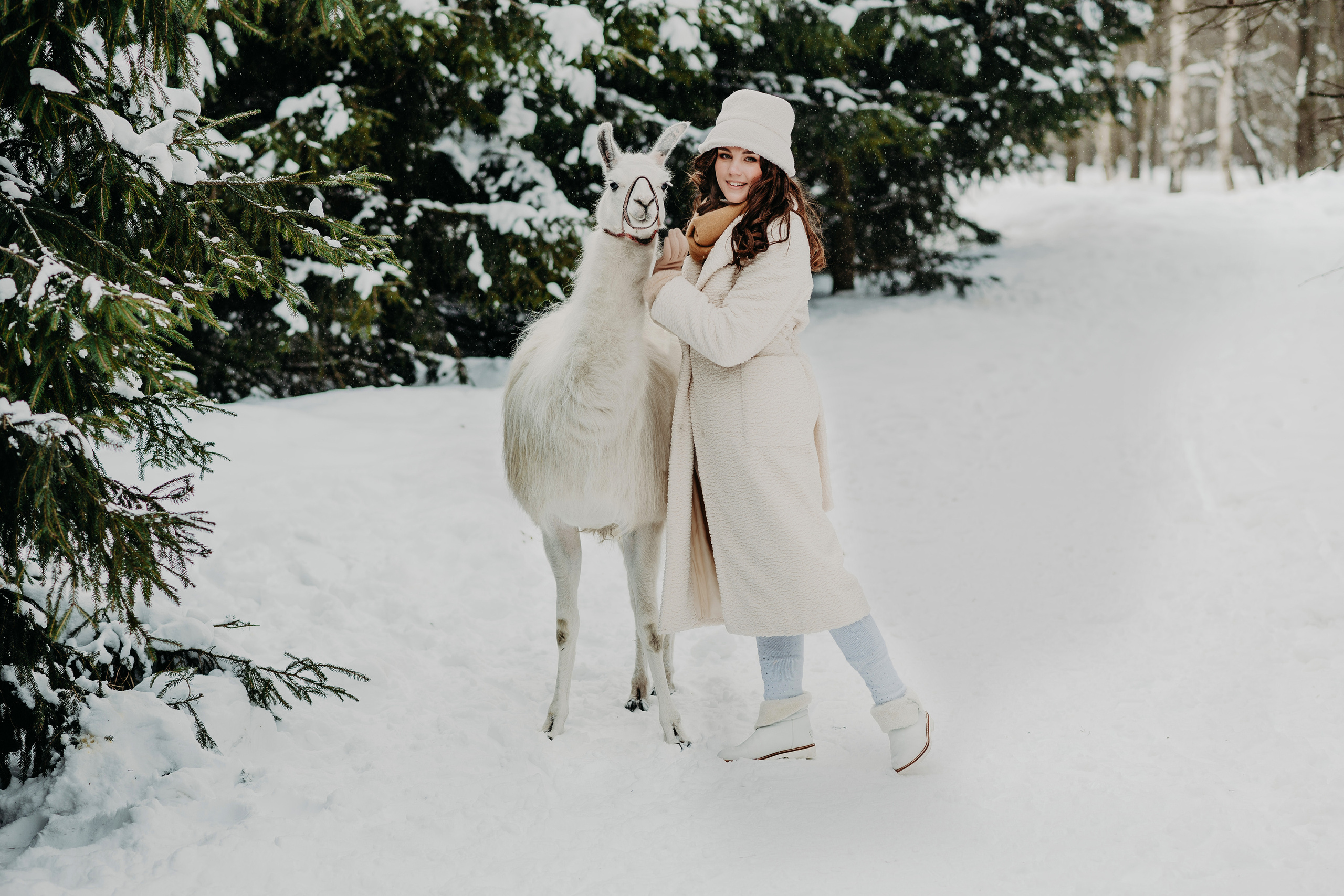 Лав-стори с альпаками. Свадебный и семейный фотограф Максим Сорокин