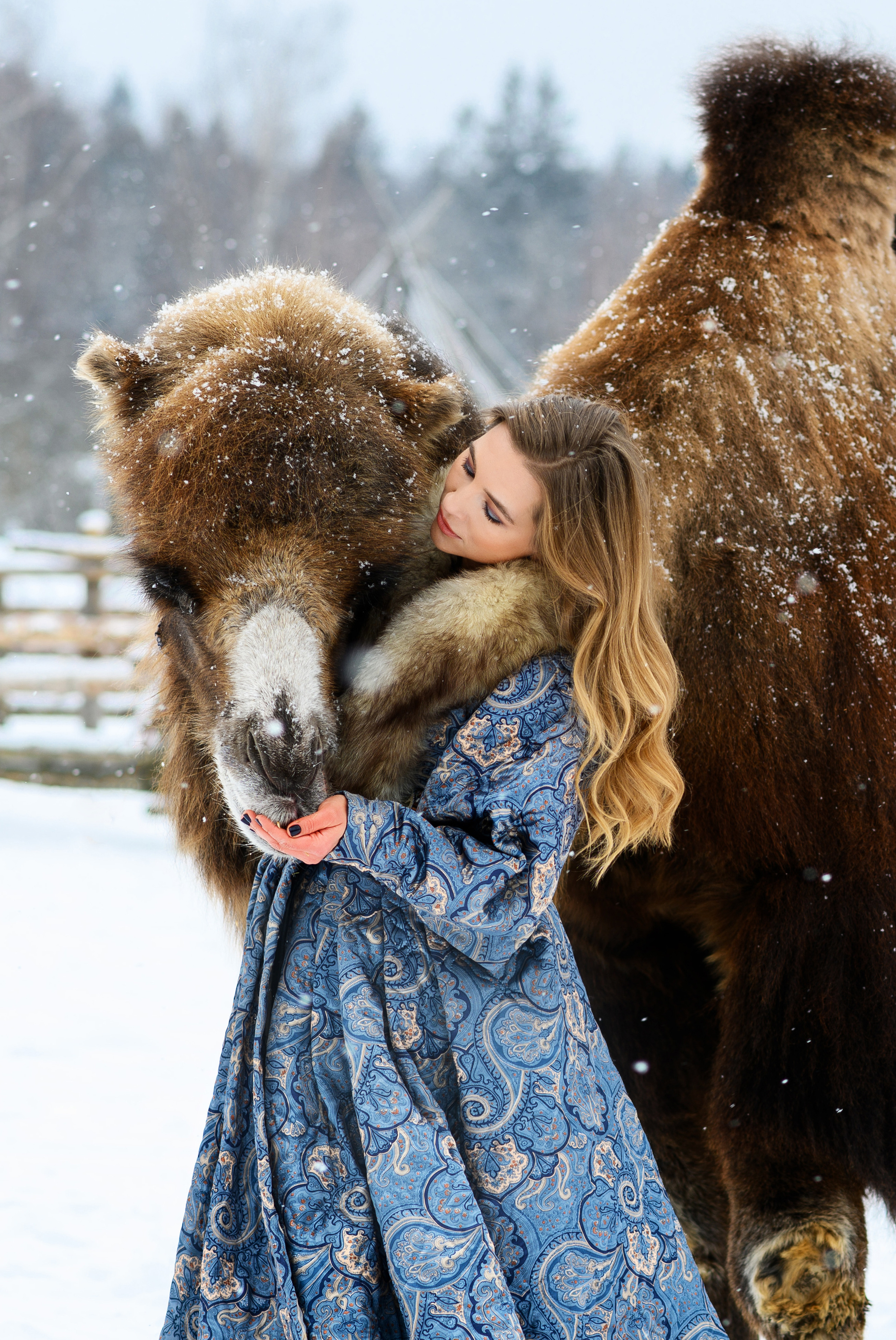 Верблюд. Свадебный и семейный фотограф Максим Сорокин